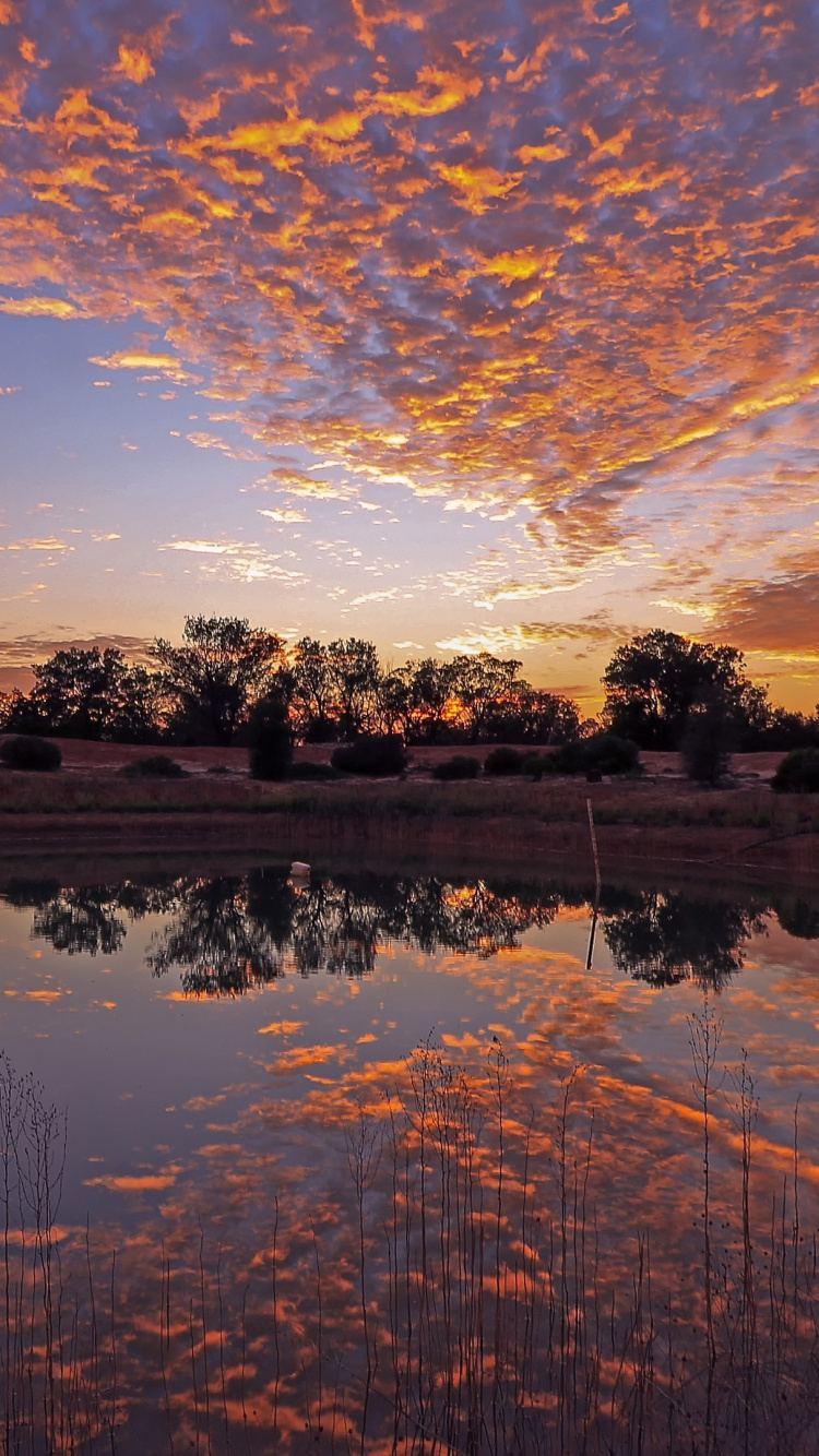 Body of Water Near Trees During Sunset. Wallpaper in 750x1334 Resolution