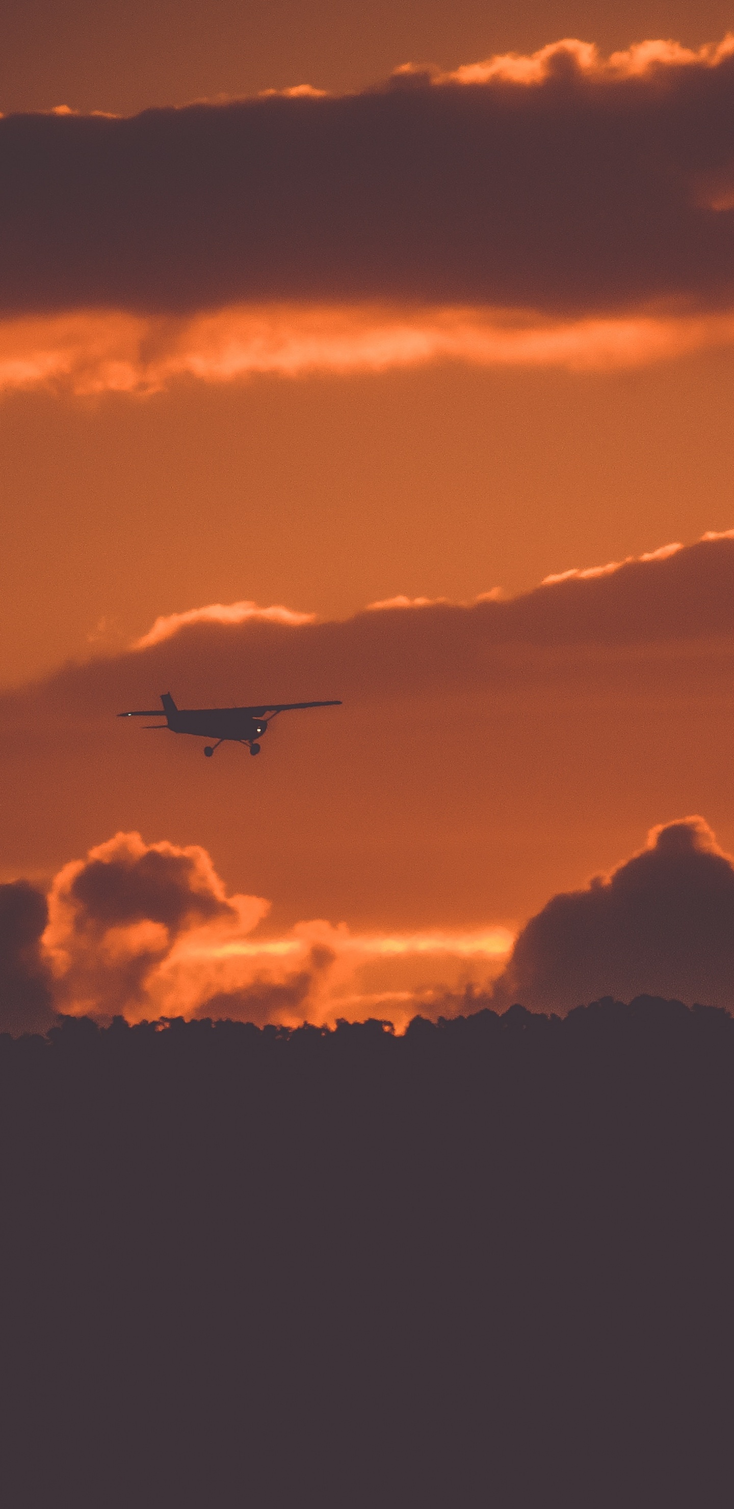 Vuelo, Afterglow, Puesta, Noche, Ambiente. Wallpaper in 1440x2960 Resolution