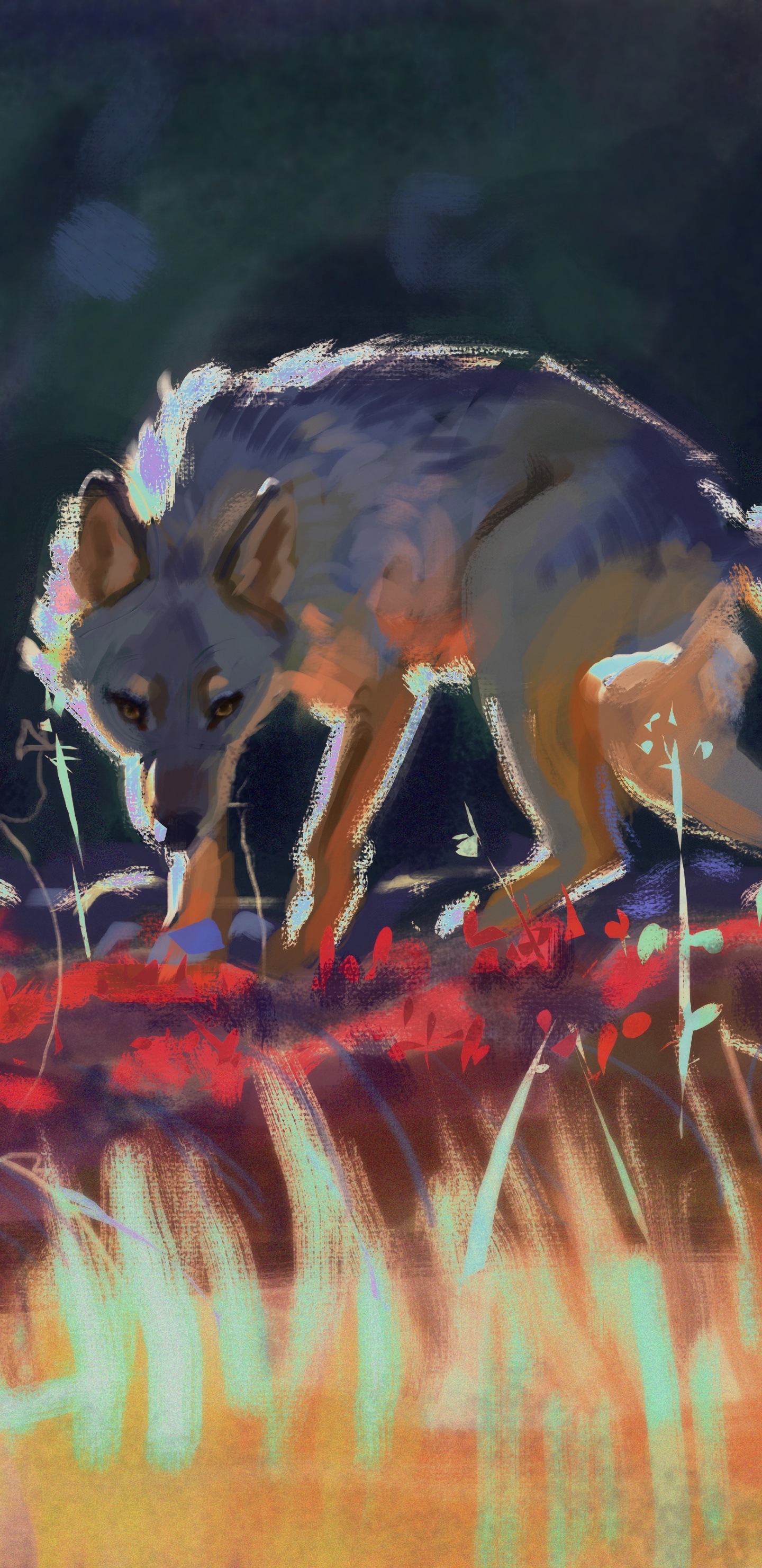 狼, 丙烯酸涂料, 艺术, 野生动物, 现代艺术 壁纸 1440x2960 允许