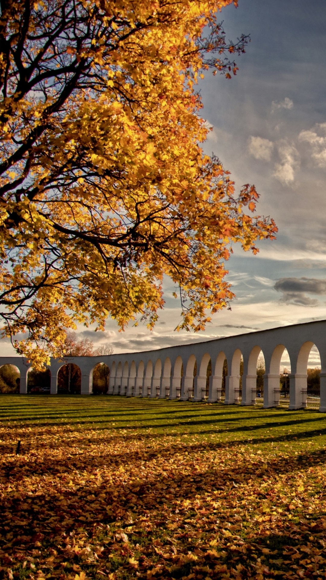 Braune Bäume Unter Bewölktem Himmel Tagsüber. Wallpaper in 1080x1920 Resolution