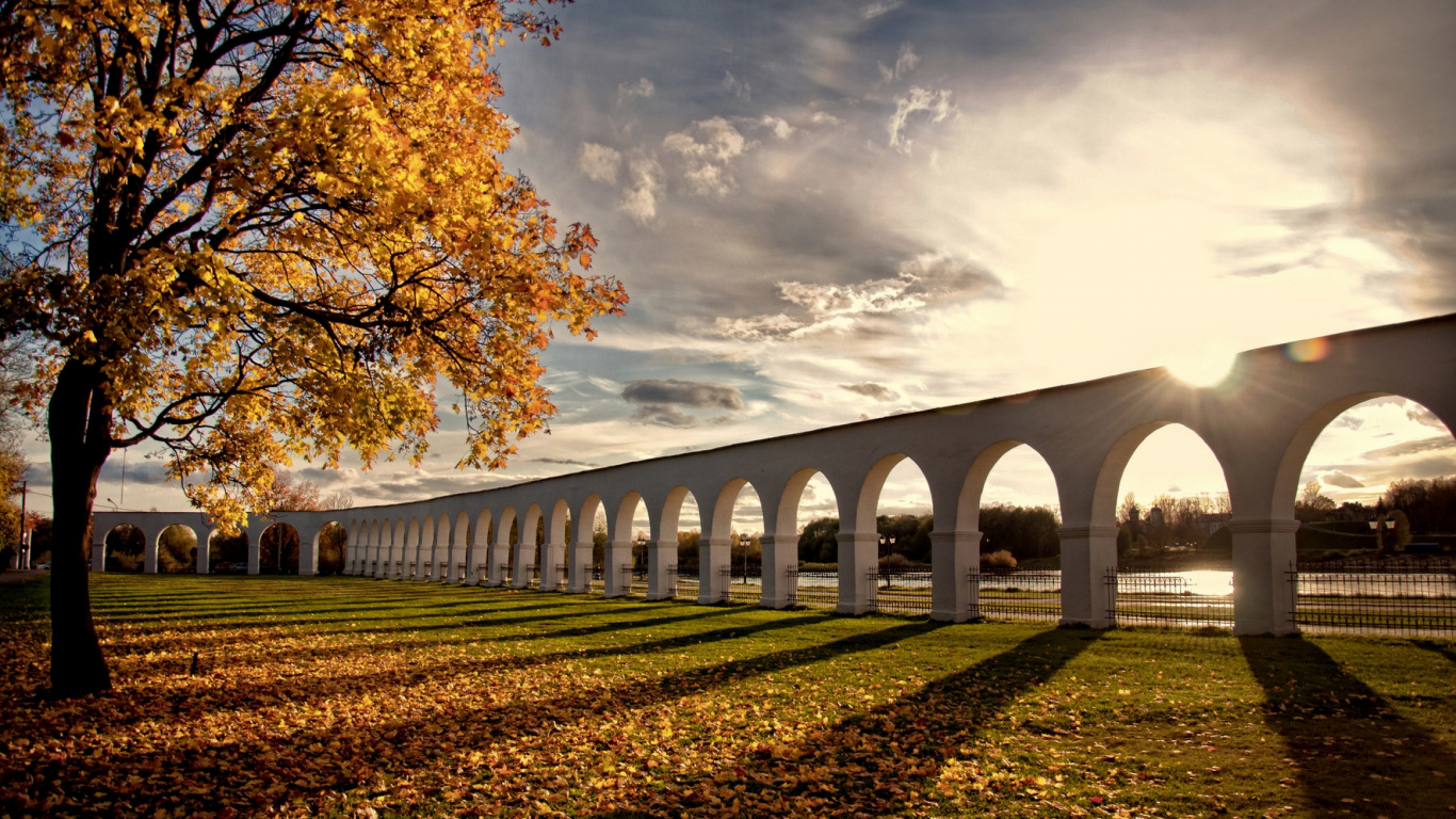 Árboles Marrones Bajo el Cielo Nublado Durante el Día. Wallpaper in 1366x768 Resolution