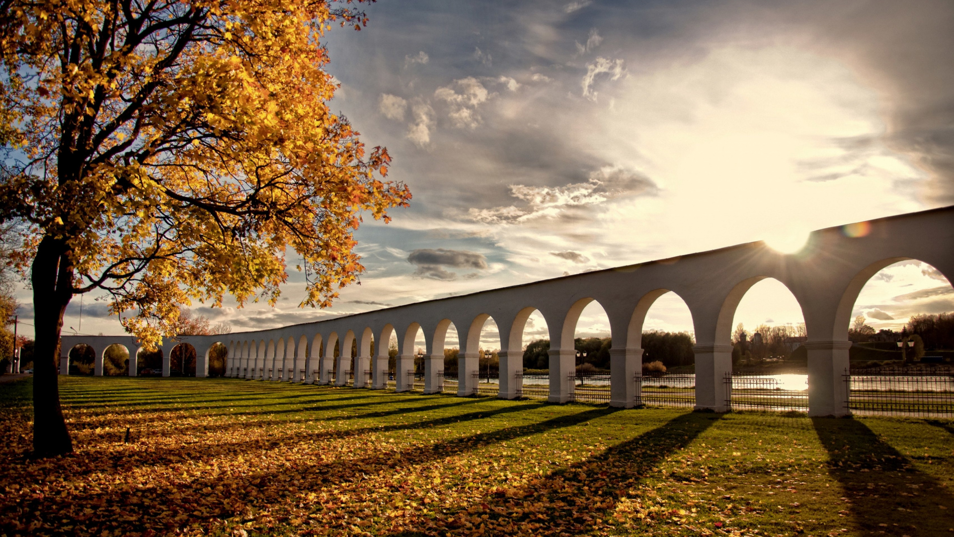 Arbres Bruns Sous Ciel Nuageux Pendant la Journée. Wallpaper in 1920x1080 Resolution
