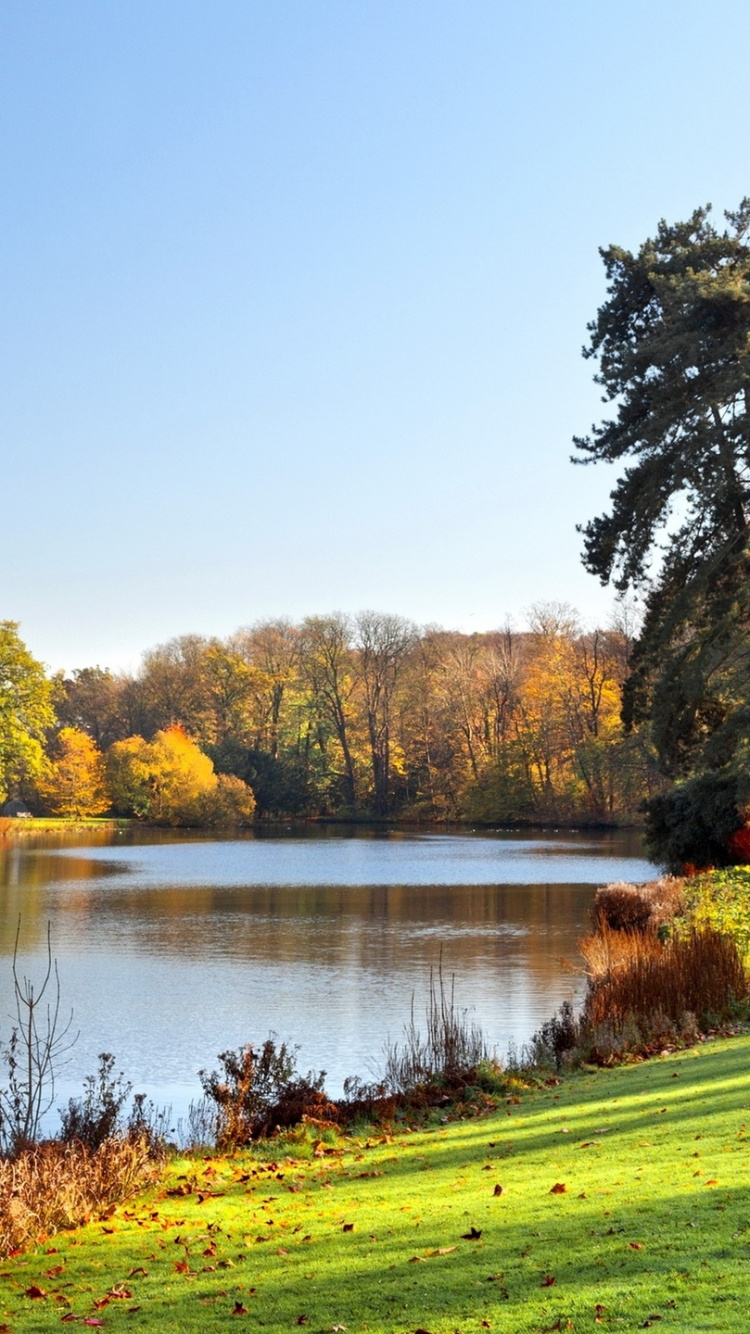 Green and Brown Trees Beside River During Daytime. Wallpaper in 750x1334 Resolution