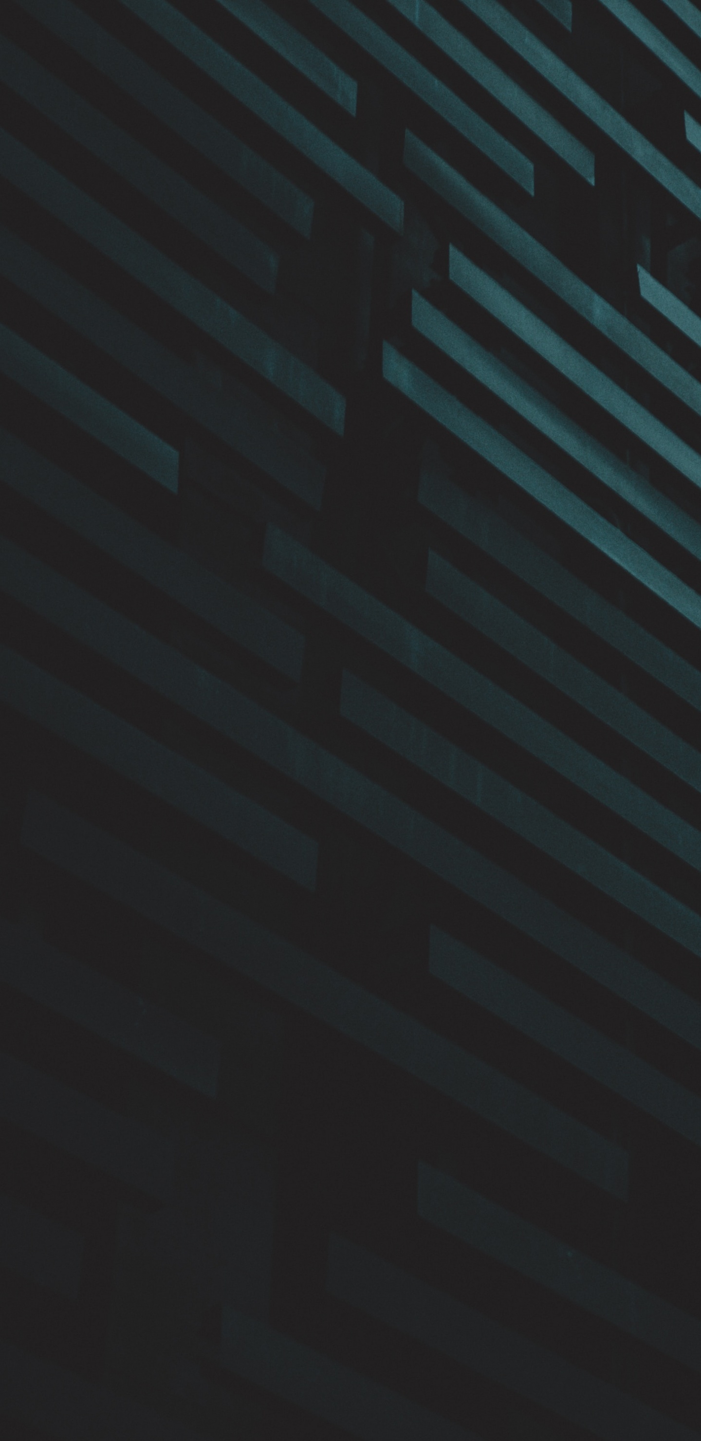 黑色的, 灰度, 光 壁纸 1440x2960 允许