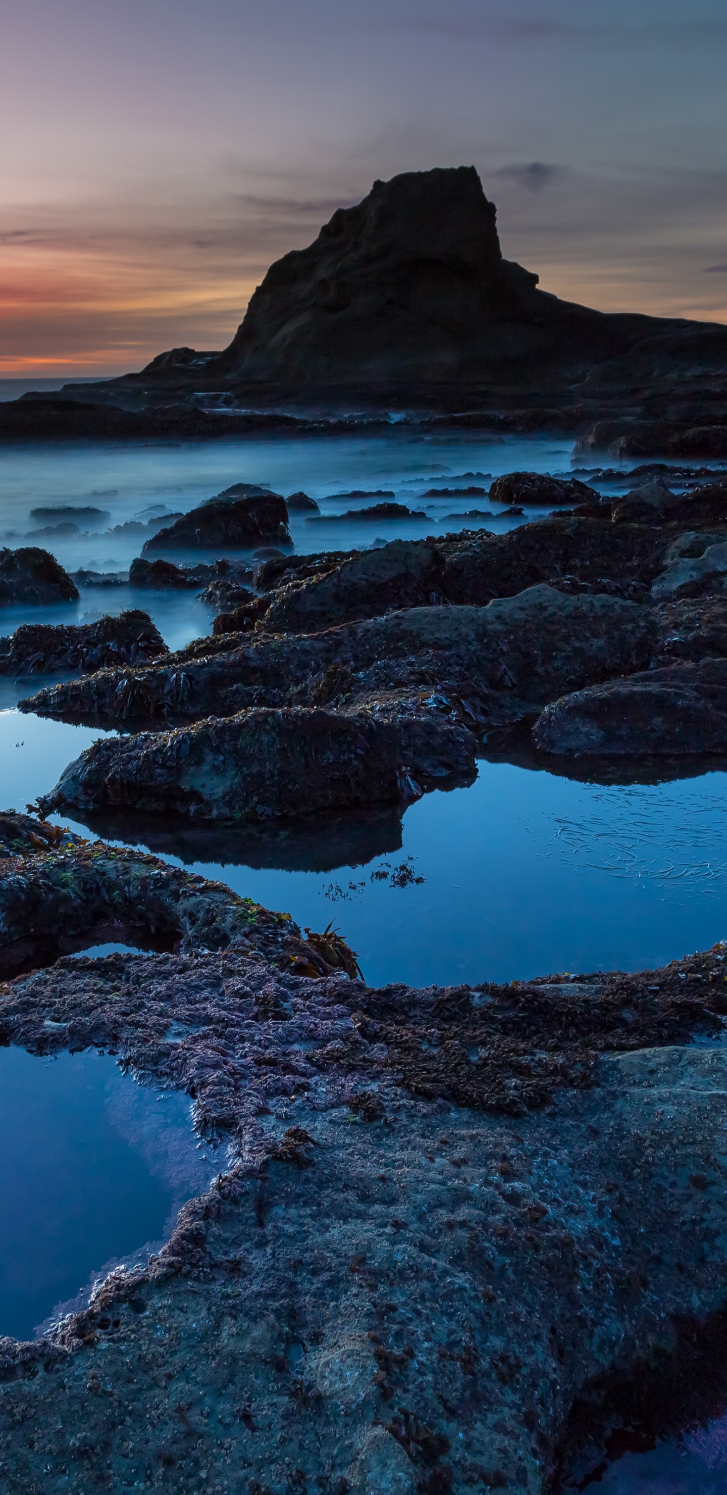 性质, 大海, 海岸, 海洋, 岸边 壁纸 1440x2960 允许