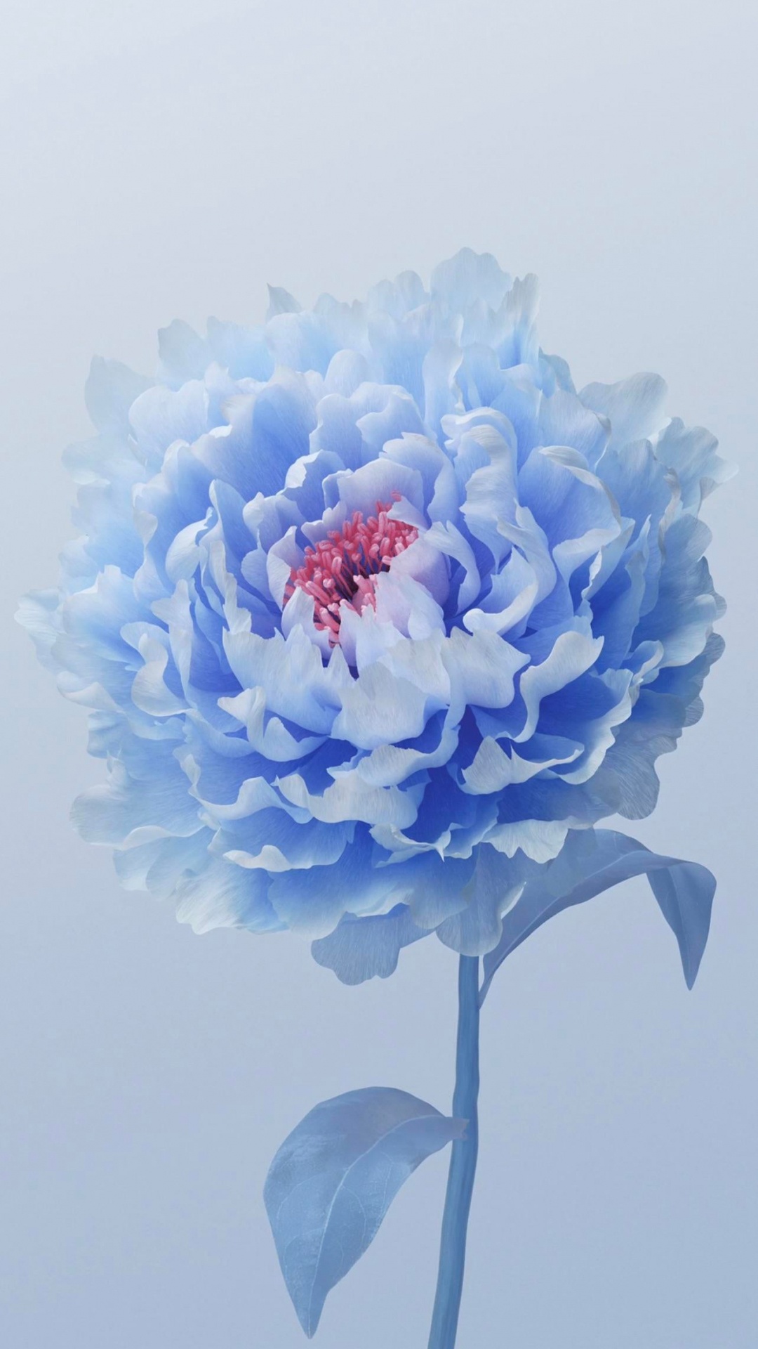 Flower, Alive, Vivo, Peony, Origin Os. Wallpaper in 1080x1920 Resolution