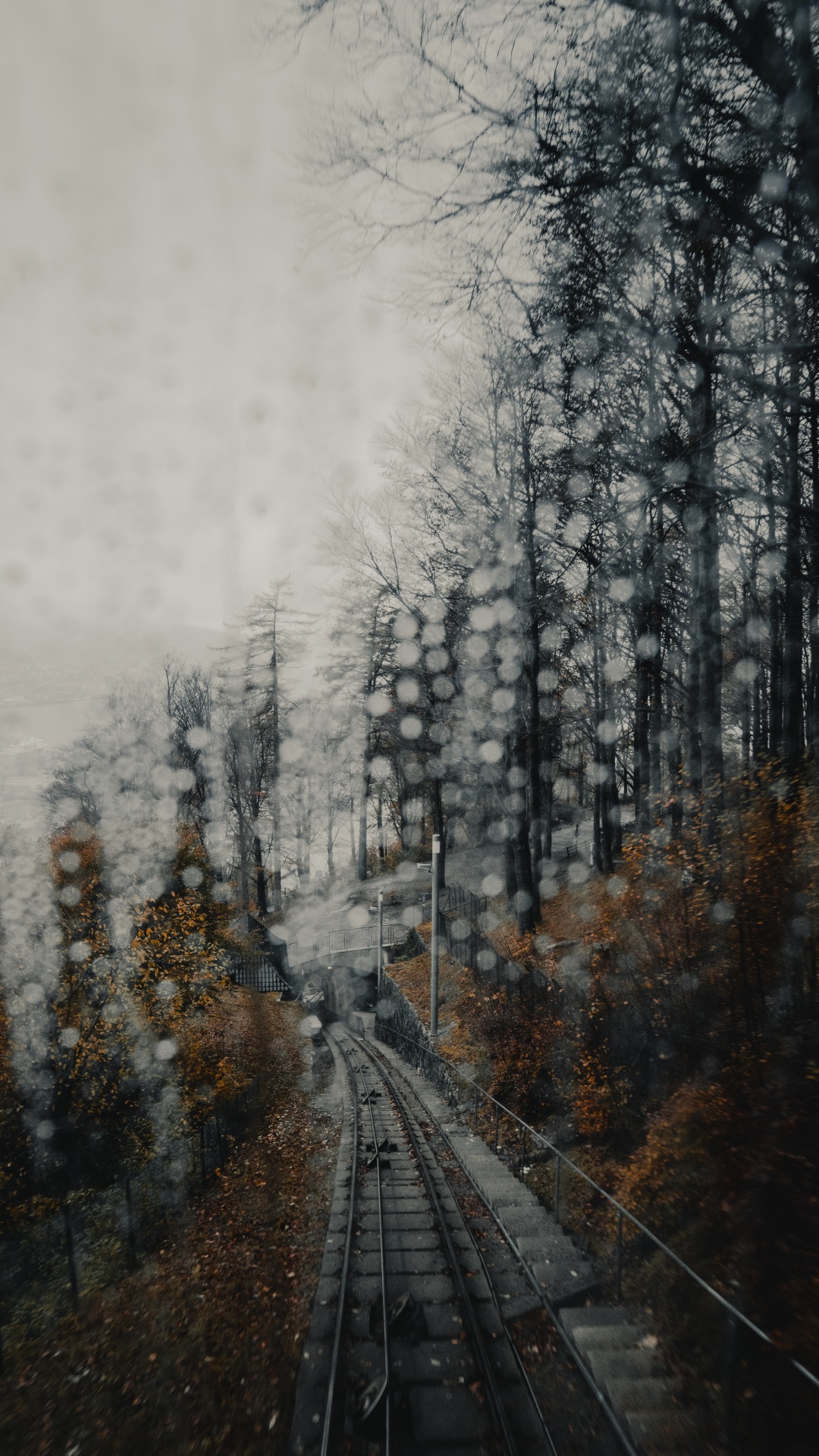Snow Covered Trees During Daytime. Wallpaper in 1080x1920 Resolution