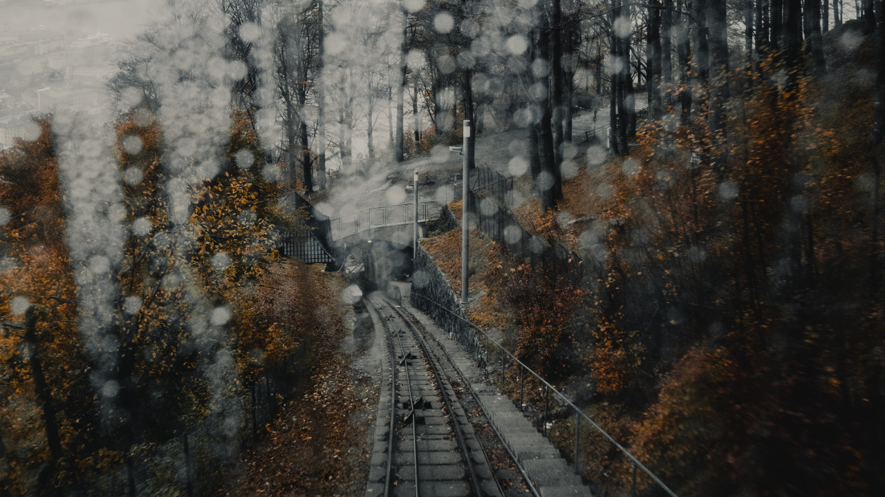 Snow Covered Trees During Daytime. Wallpaper in 1280x720 Resolution