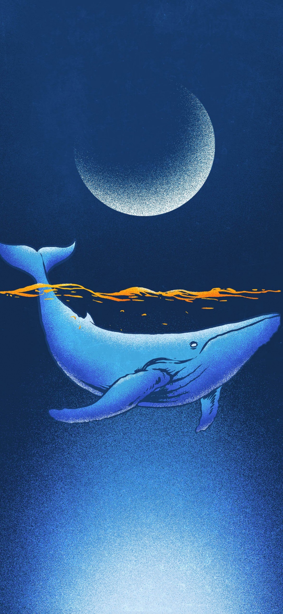 Marine Biology, Whale, Blue Whale, Water, Liquid. Wallpaper in 1125x2436 Resolution