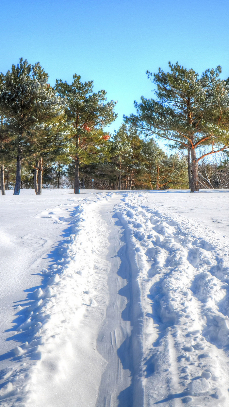 Champ Couvert de Neige Avec Des Arbres Sous Ciel Bleu Pendant la Journée. Wallpaper in 750x1334 Resolution