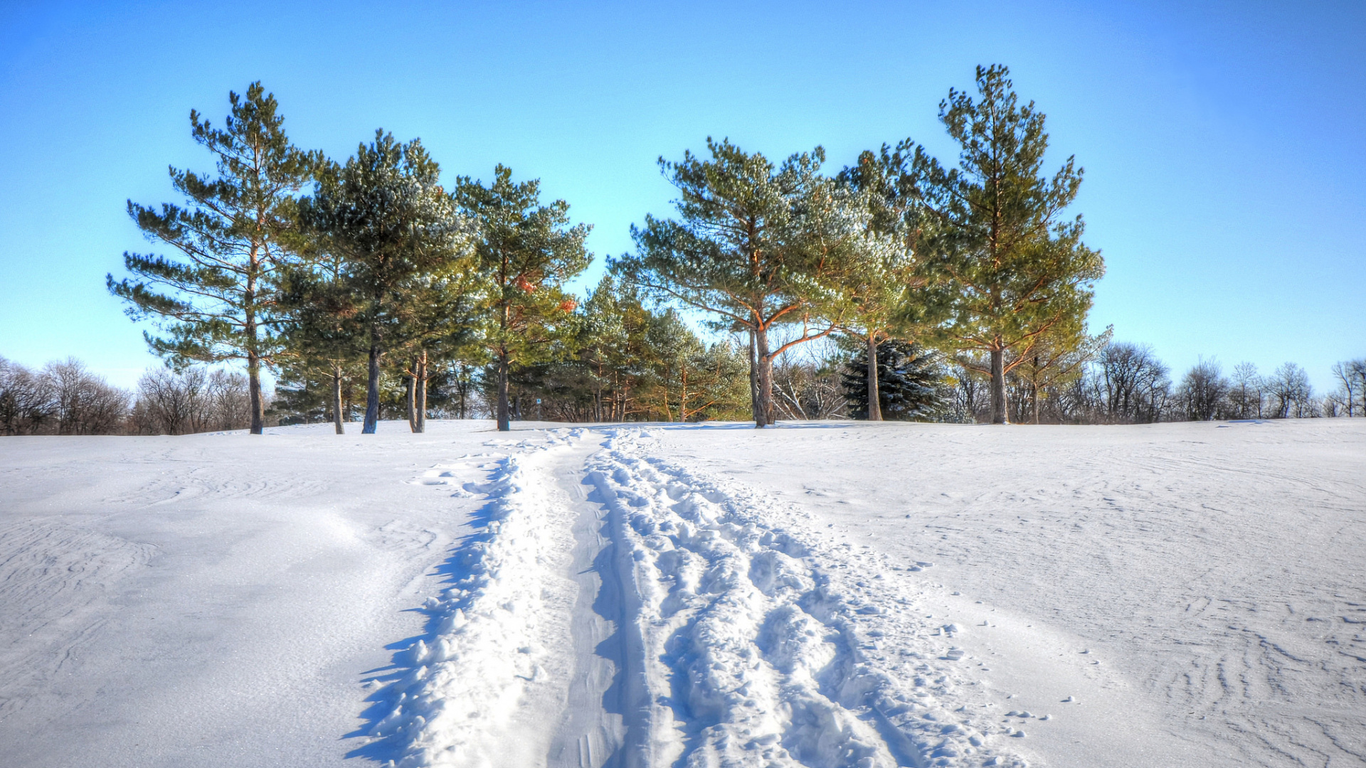 Campo Cubierto de Nieve Con Árboles Bajo un Cielo Azul Durante el Día. Wallpaper in 1920x1080 Resolution