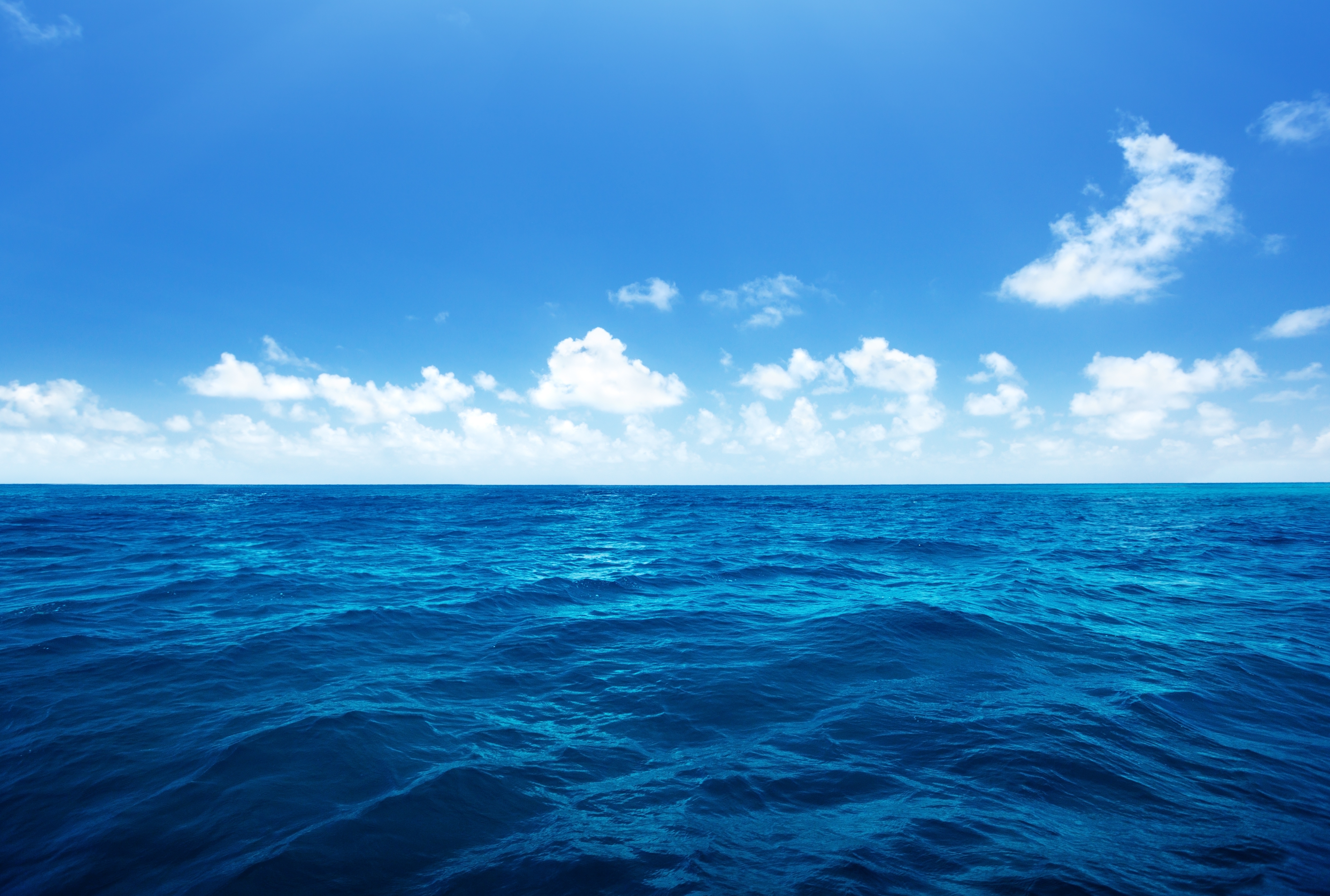 Wallpaper Blue Ocean Under Blue Sky and White Clouds During Daytime  Background  Download Free Image
