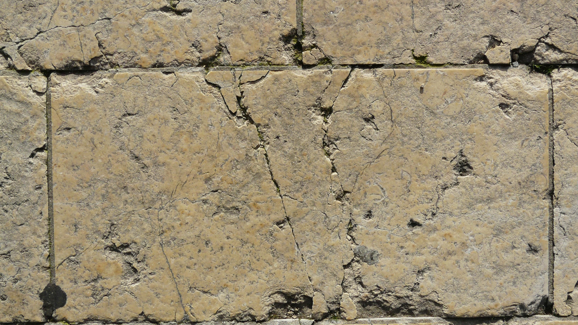 Pared de Ladrillo Blanco y Marrón. Wallpaper in 1920x1080 Resolution