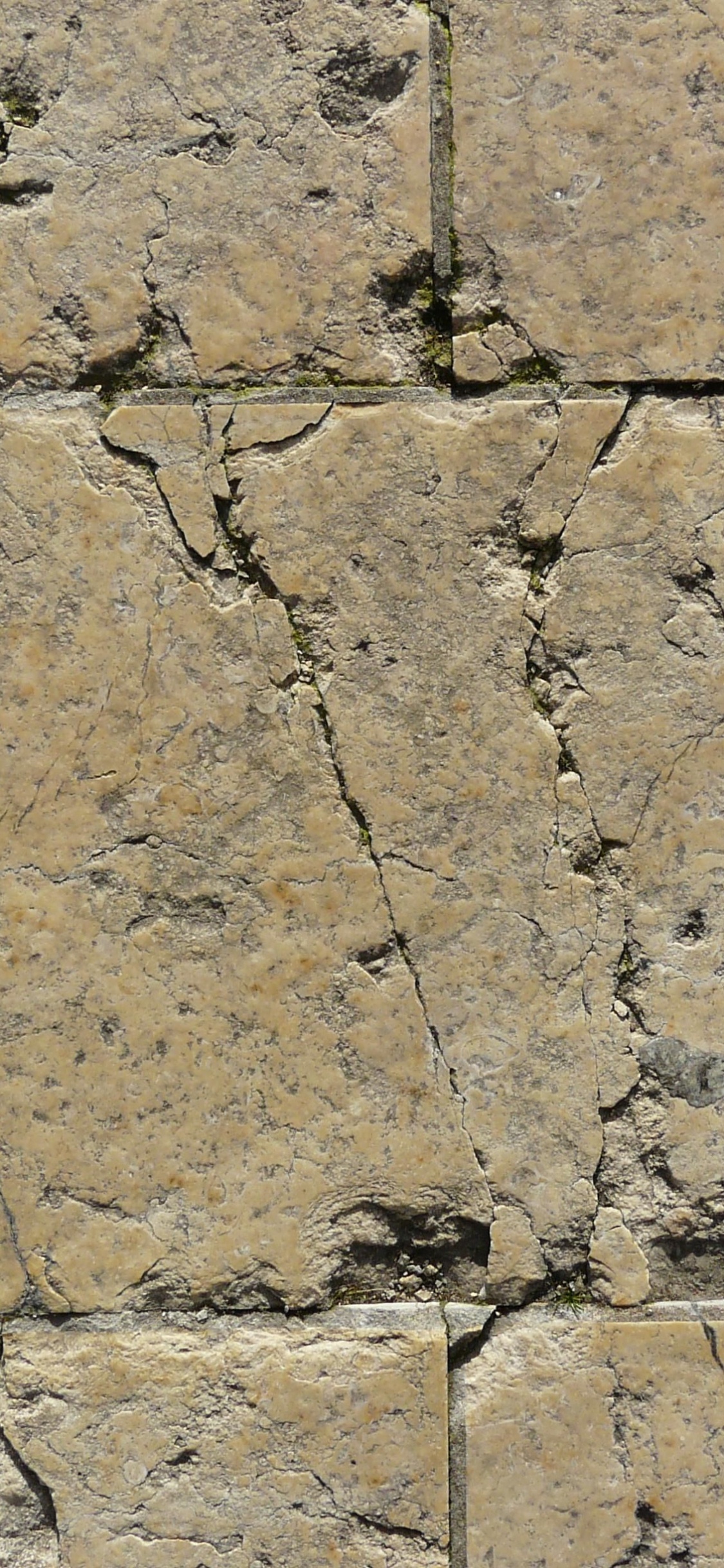 Mur de Briques Blanches et Brunes. Wallpaper in 1125x2436 Resolution