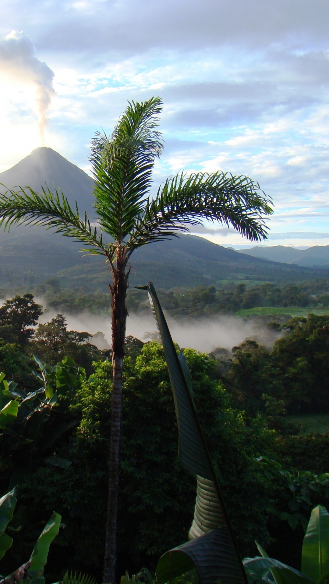 Green Palm Tree Near Mountain Under White Clouds During Daytime. Wallpaper in 1080x1920 Resolution