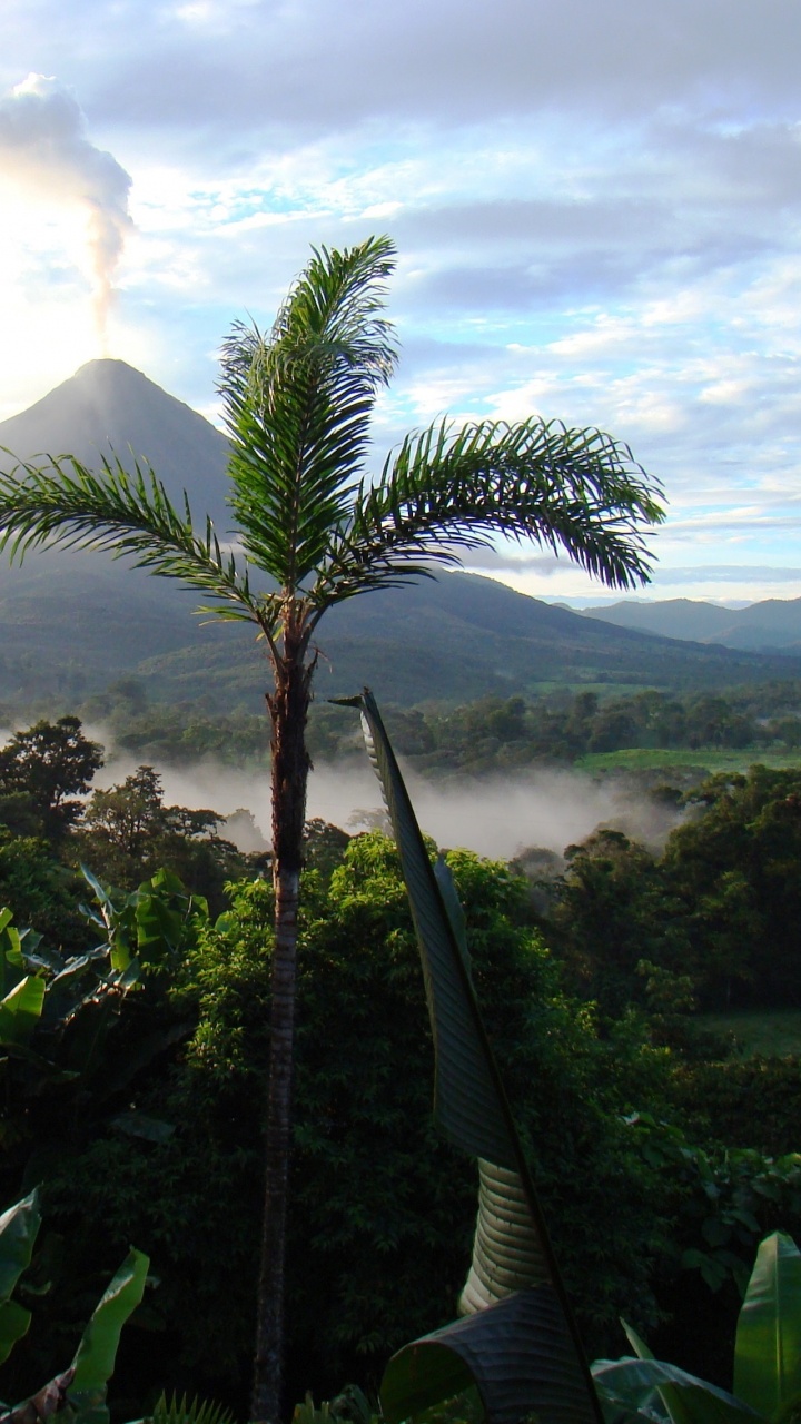 Green Palm Tree Near Mountain Under White Clouds During Daytime. Wallpaper in 720x1280 Resolution