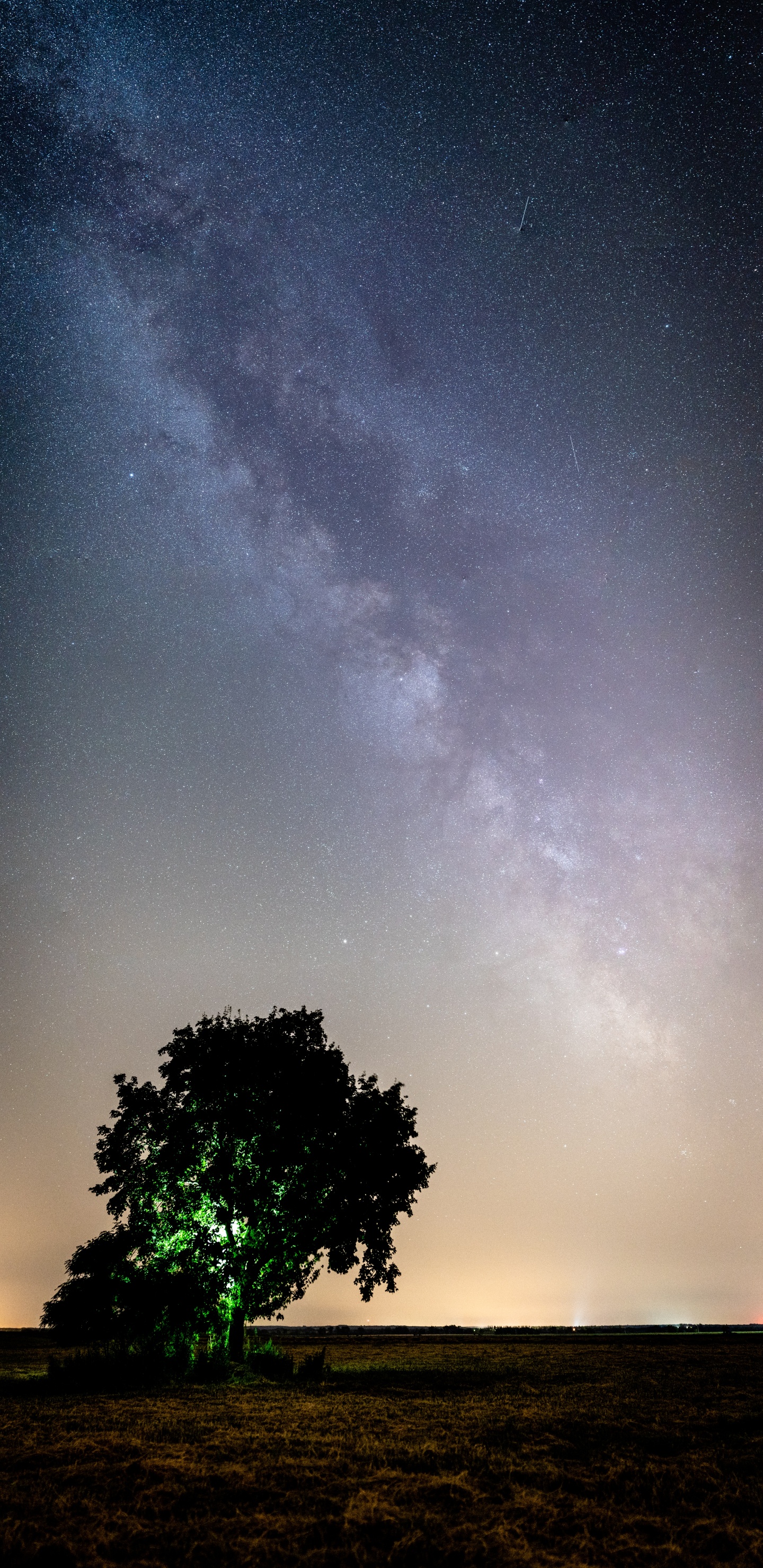 Naturaleza, Ambiente, Espacio, Planta Leñosa, Noche. Wallpaper in 1440x2960 Resolution