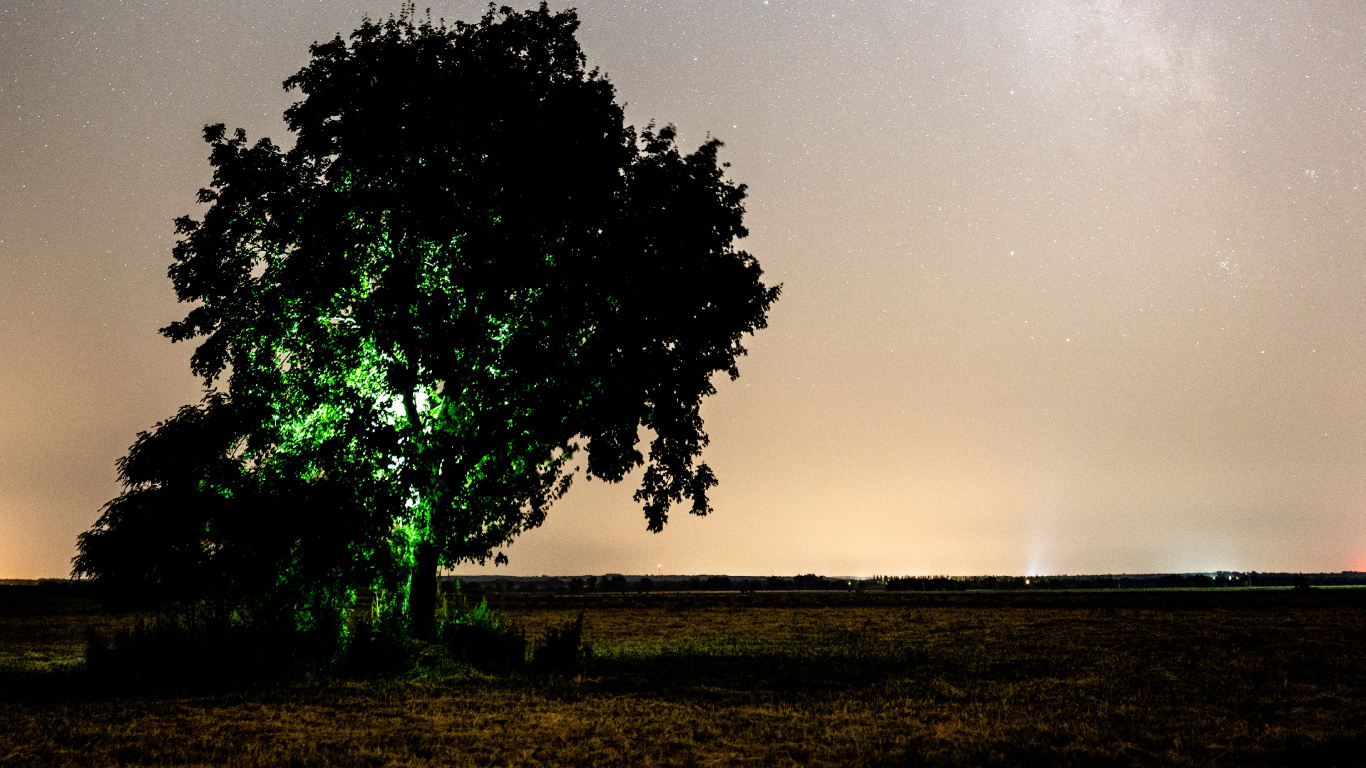 Cloud, Natur, Atmosphäre, Baum, Nacht. Wallpaper in 1366x768 Resolution