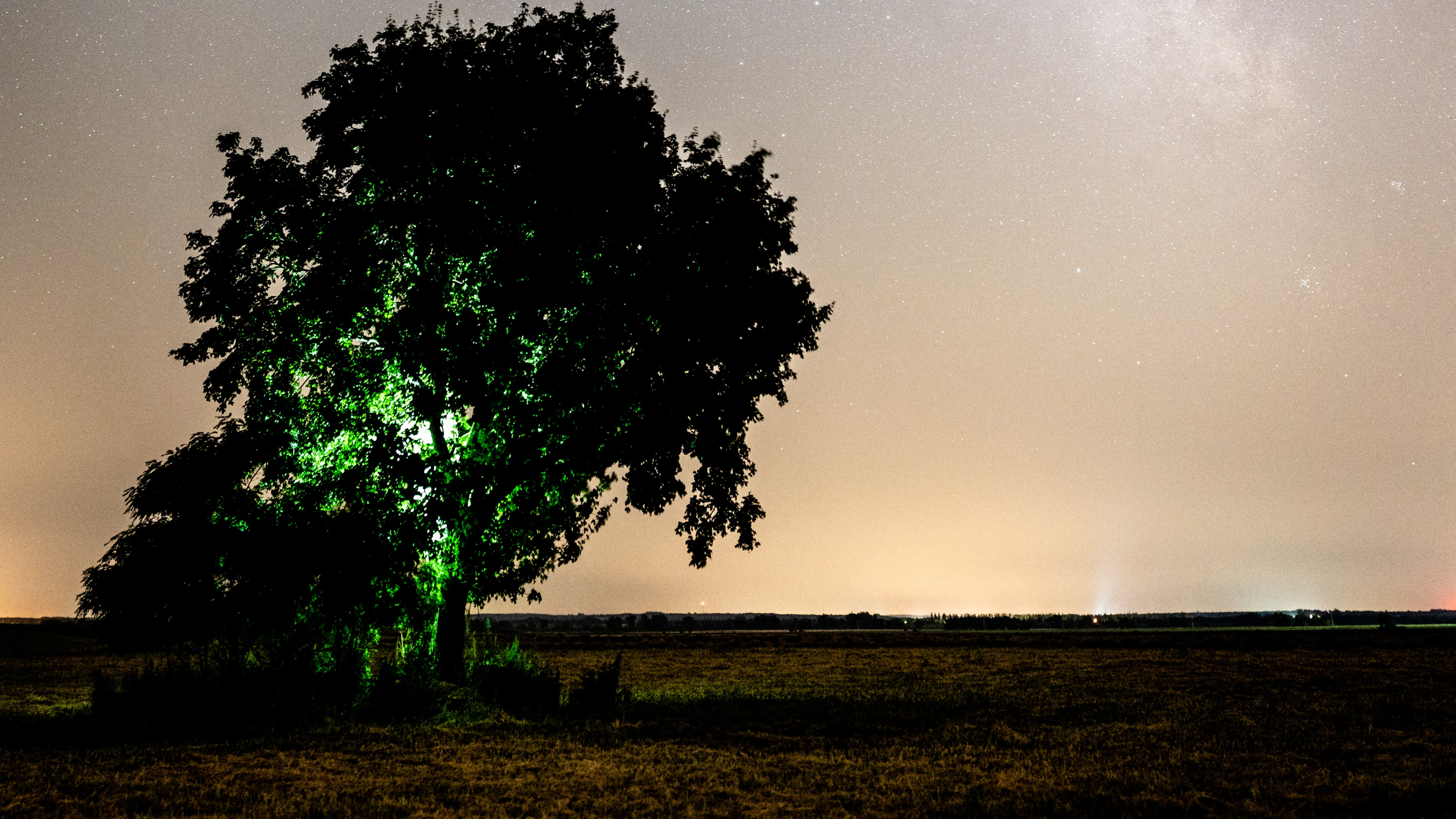Cloud, Nature, Atmosphere, Tree, Night. Wallpaper in 3840x2160 Resolution