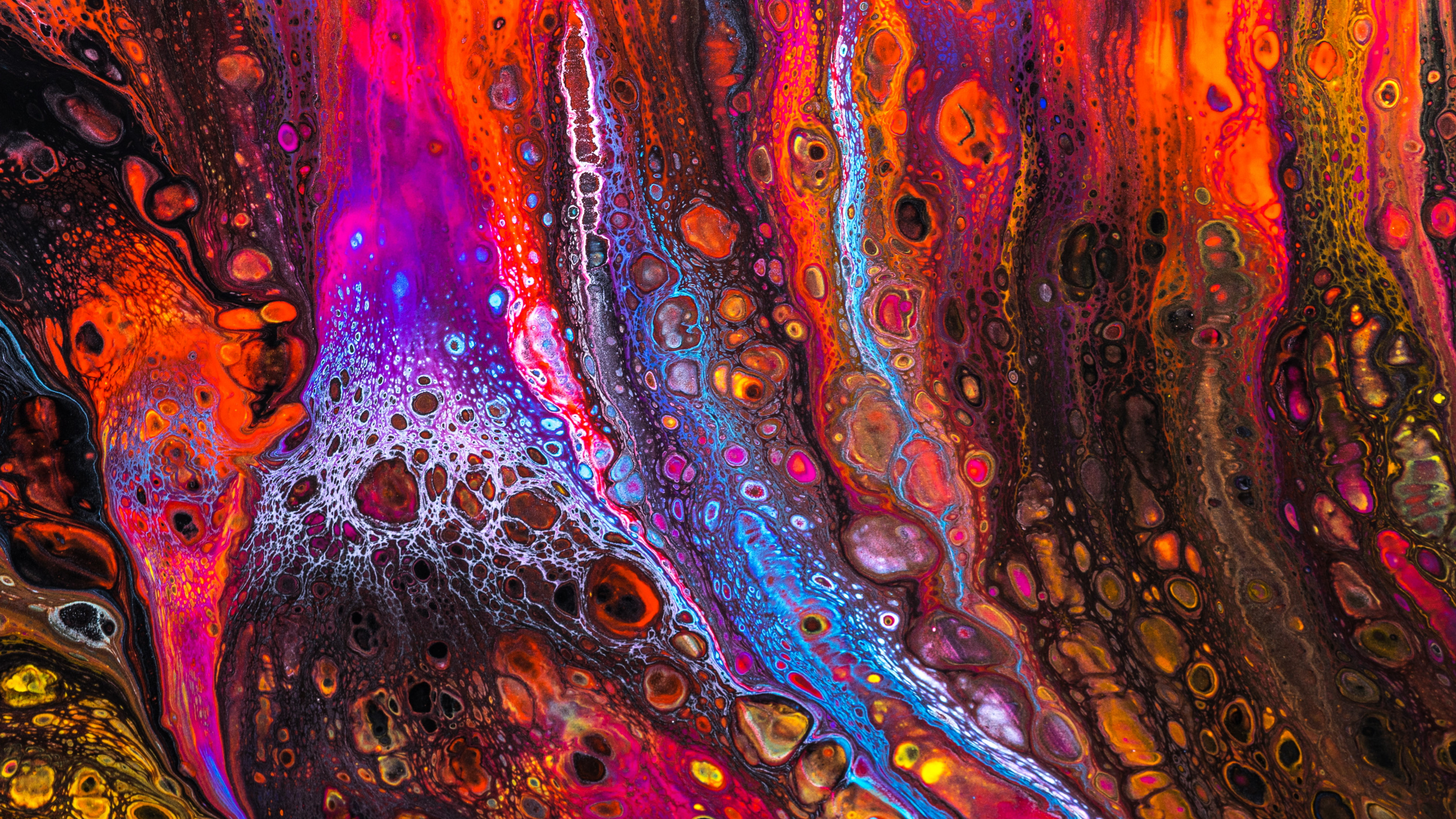 Arte Psicodélico, Morado, Arte, Magenta, Patrón. Wallpaper in 2560x1440 Resolution