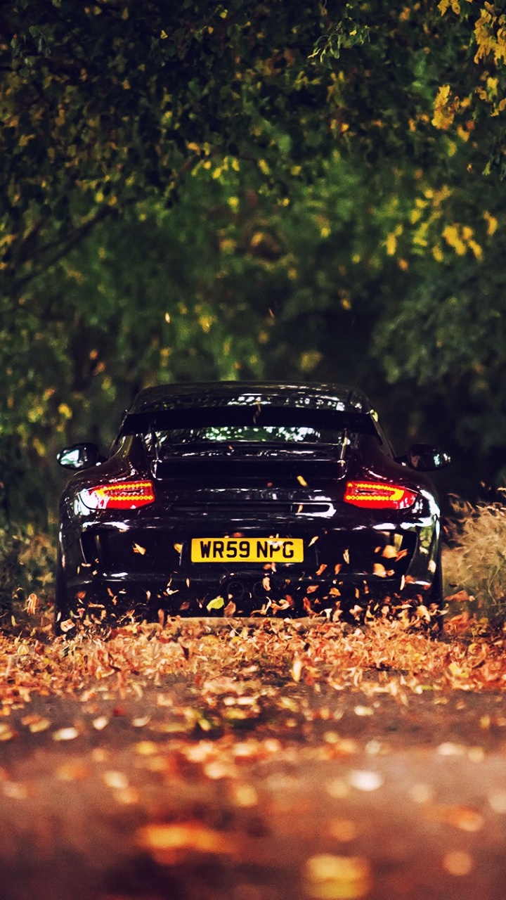 保时捷911gt3, 保时捷, 世界的集锦标赛, 荒野, 木本植物 壁纸 720x1280 允许