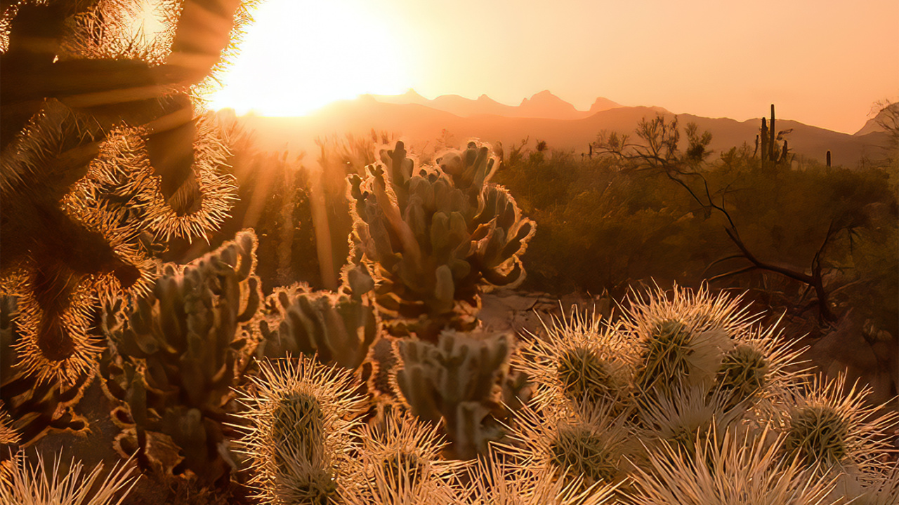 State Grid Corporation of China, Cloud, Atmosphere, Plant, Plant Community. Wallpaper in 1280x720 Resolution