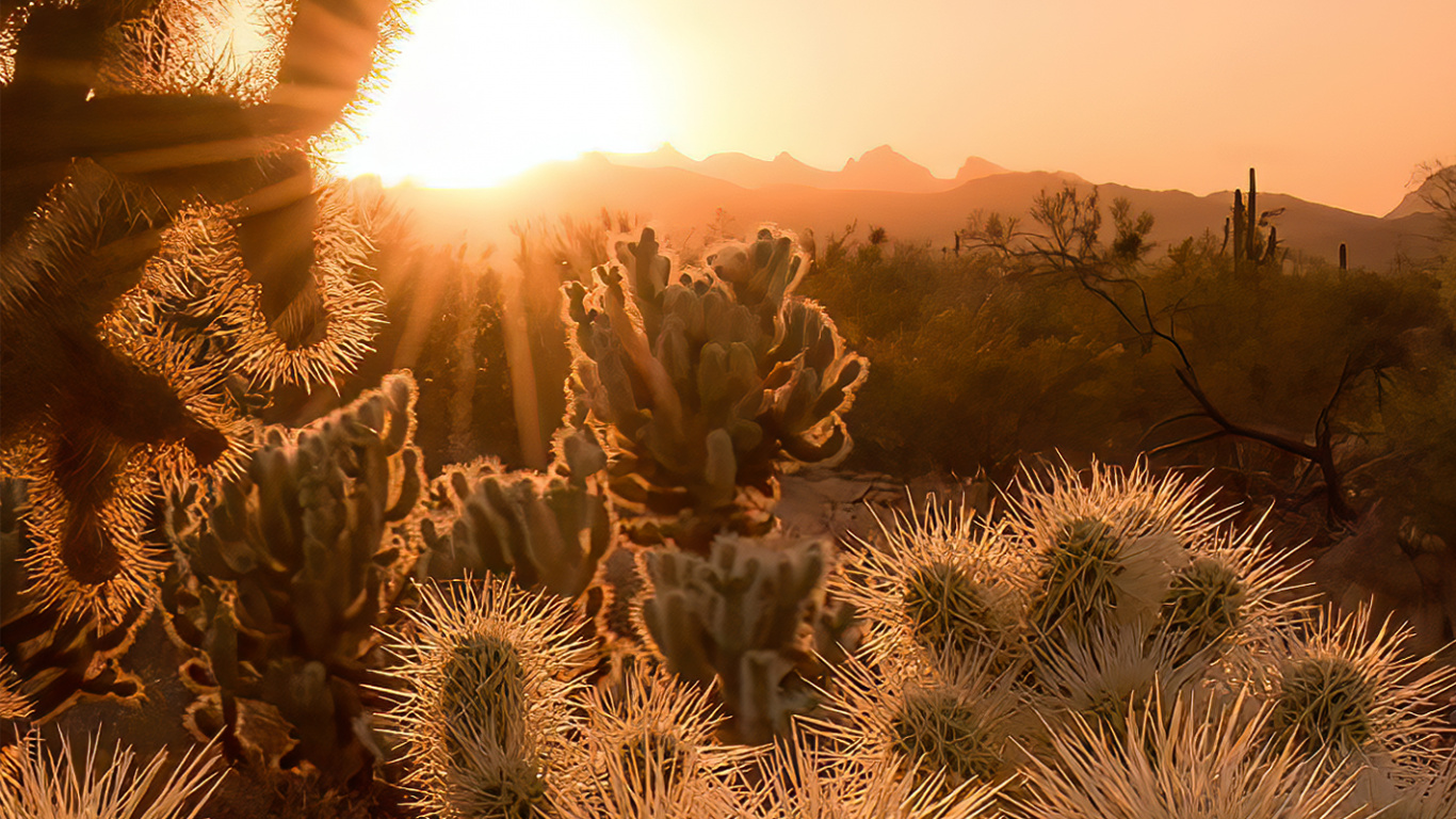 State Grid Corporation of China, Cloud, Atmosphere, Plant, Plant Community. Wallpaper in 1366x768 Resolution