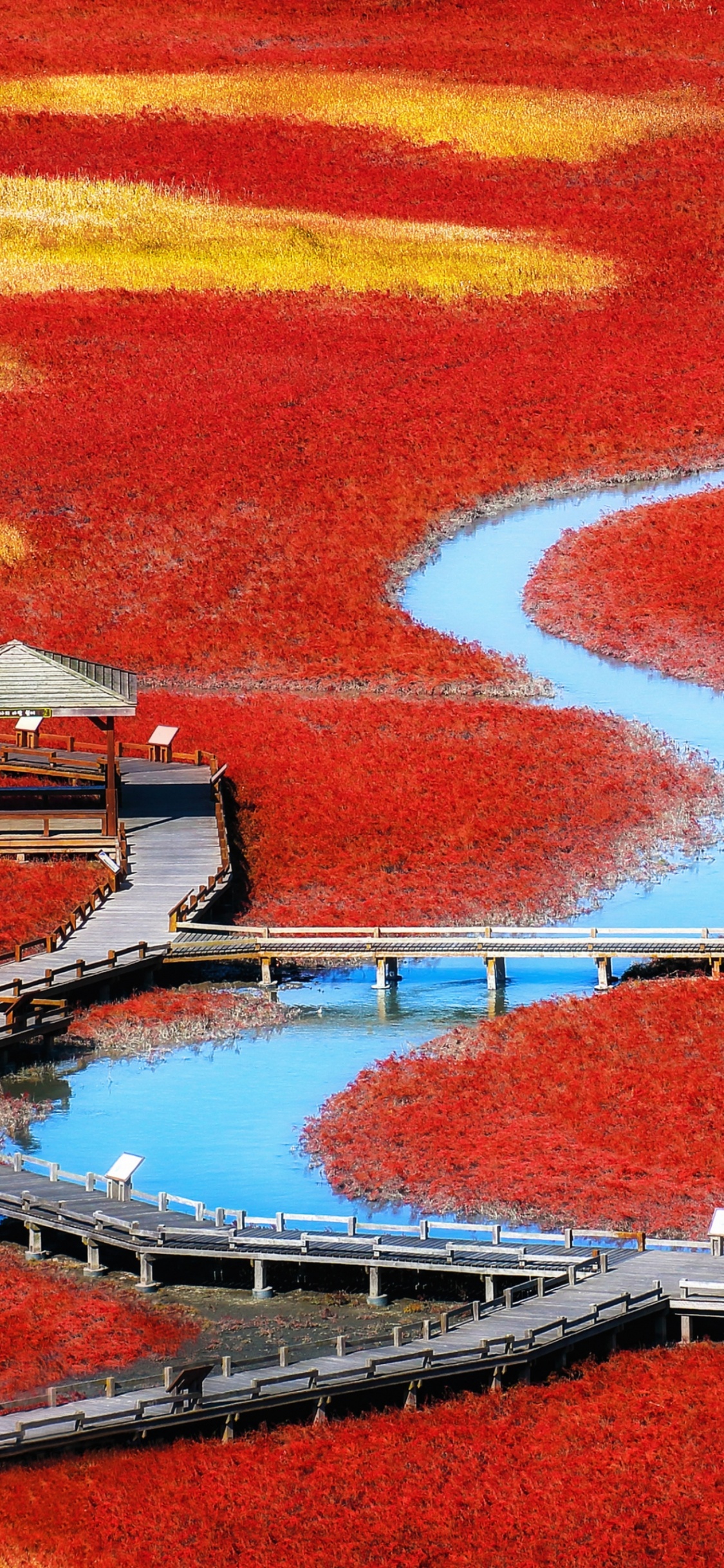 Google Pixel, Pixel, Chromebook, Pixel 2, Rojo. Wallpaper in 1125x2436 Resolution