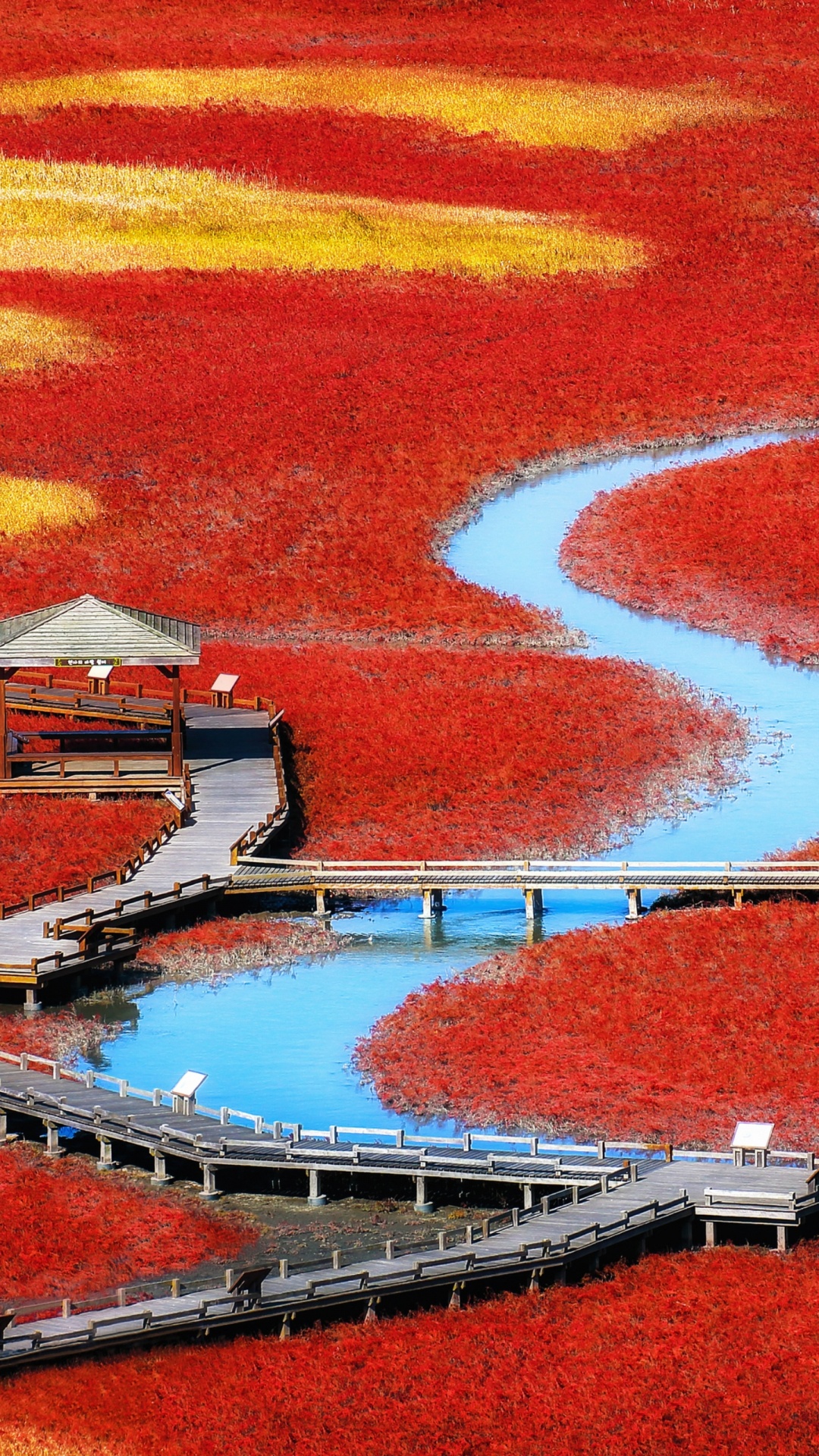 Google Pixel, 像素, 台笔记本电脑, 像素2, 红色的 壁纸 1080x1920 允许