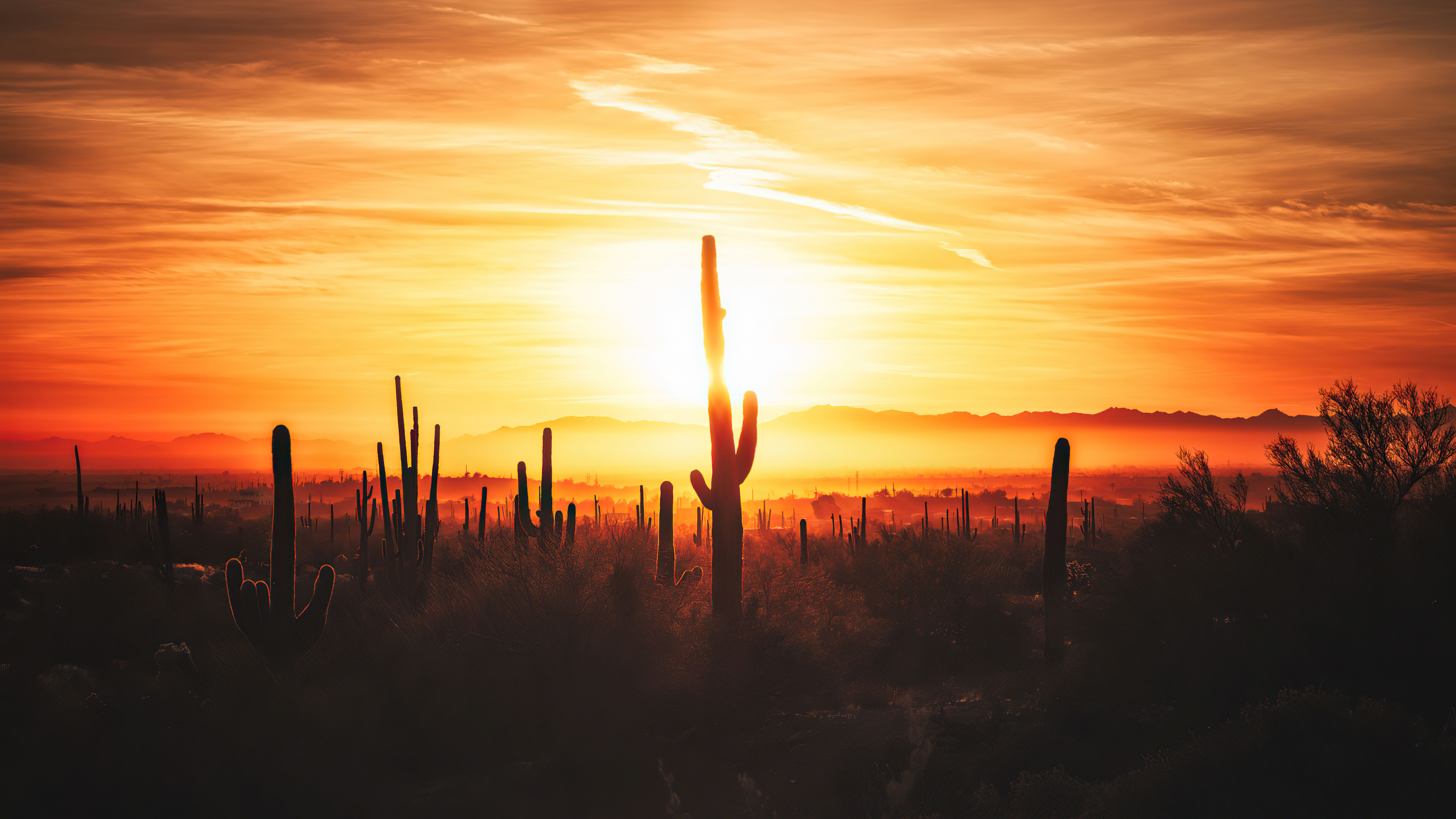 Issam Alnajjar, Hadal Ahbek, Cloud, Atmosphere, Plant. Wallpaper in 3840x2160 Resolution