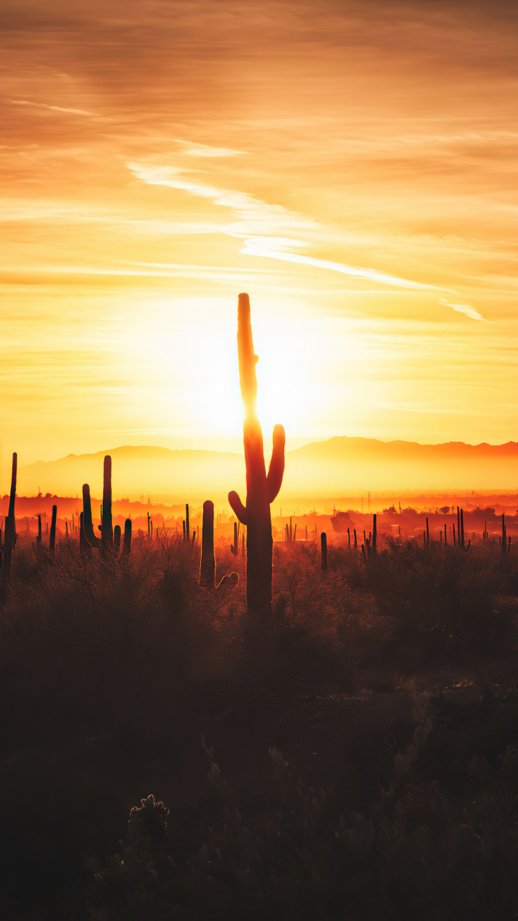 Issam Alnajjar, Hadal Ahbek, Cloud, Atmosphere, Plant. Wallpaper in 750x1334 Resolution