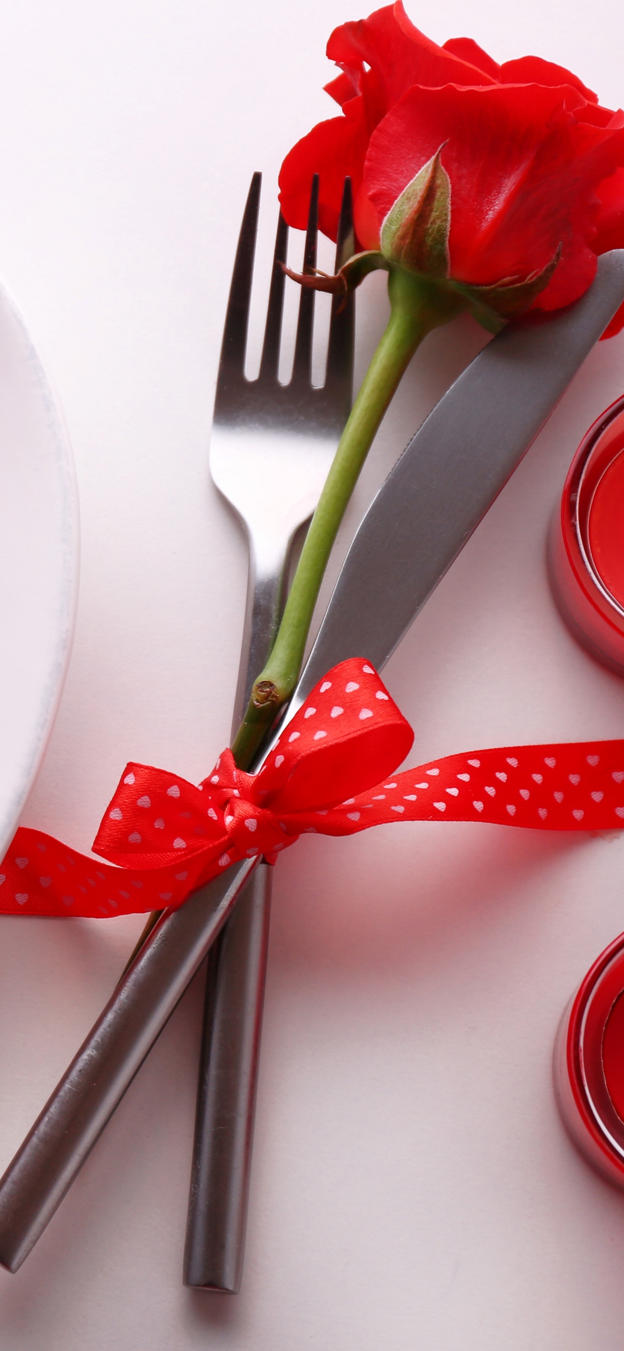 Valentines Day, Heart, Love, Flower, Romance. Wallpaper in 1242x2688 Resolution