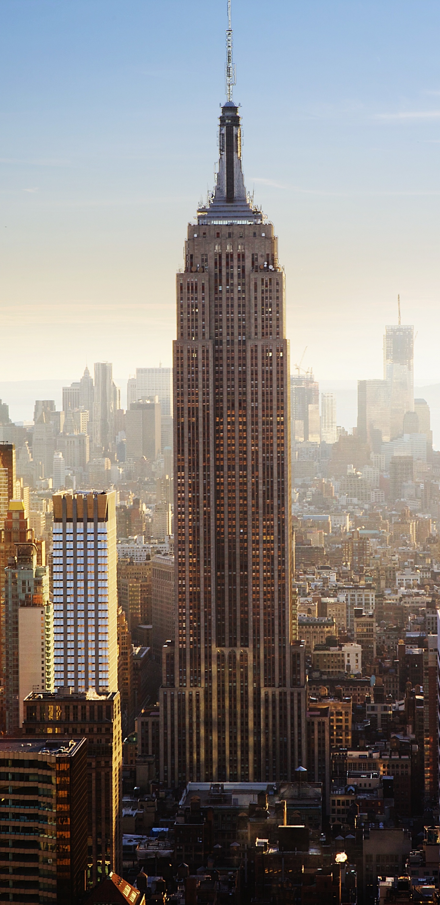 High Rise Buildings During Daytime. Wallpaper in 1440x2960 Resolution