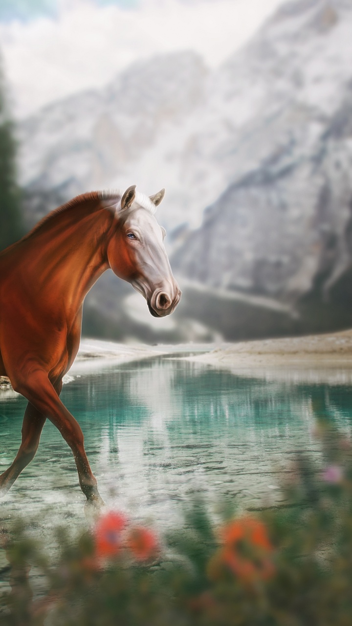 Horse, Water, Plant, Nature, Flower. Wallpaper in 720x1280 Resolution