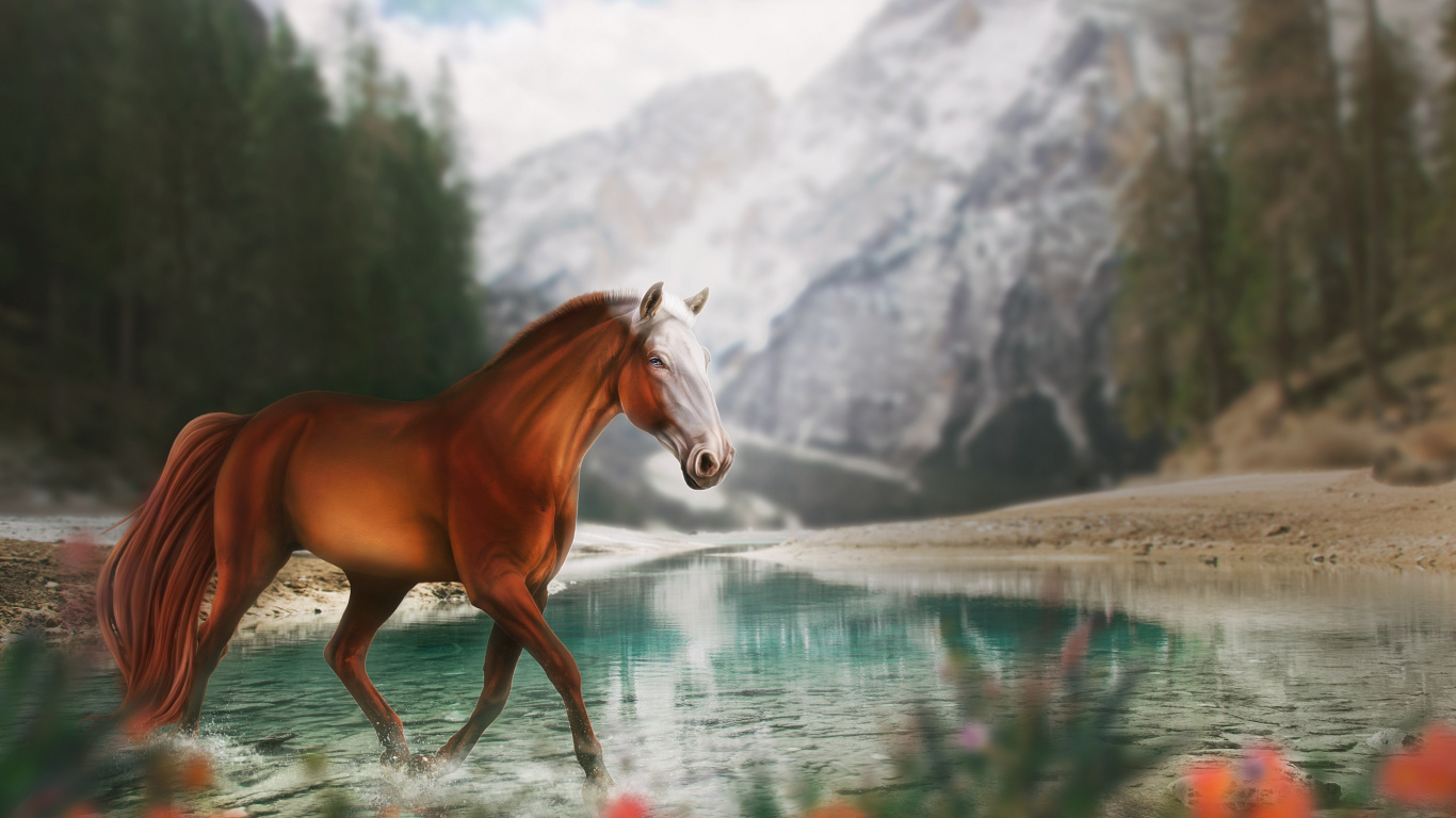 Wasser, Natur, Naturlandschaft, Leber. Wallpaper in 1366x768 Resolution