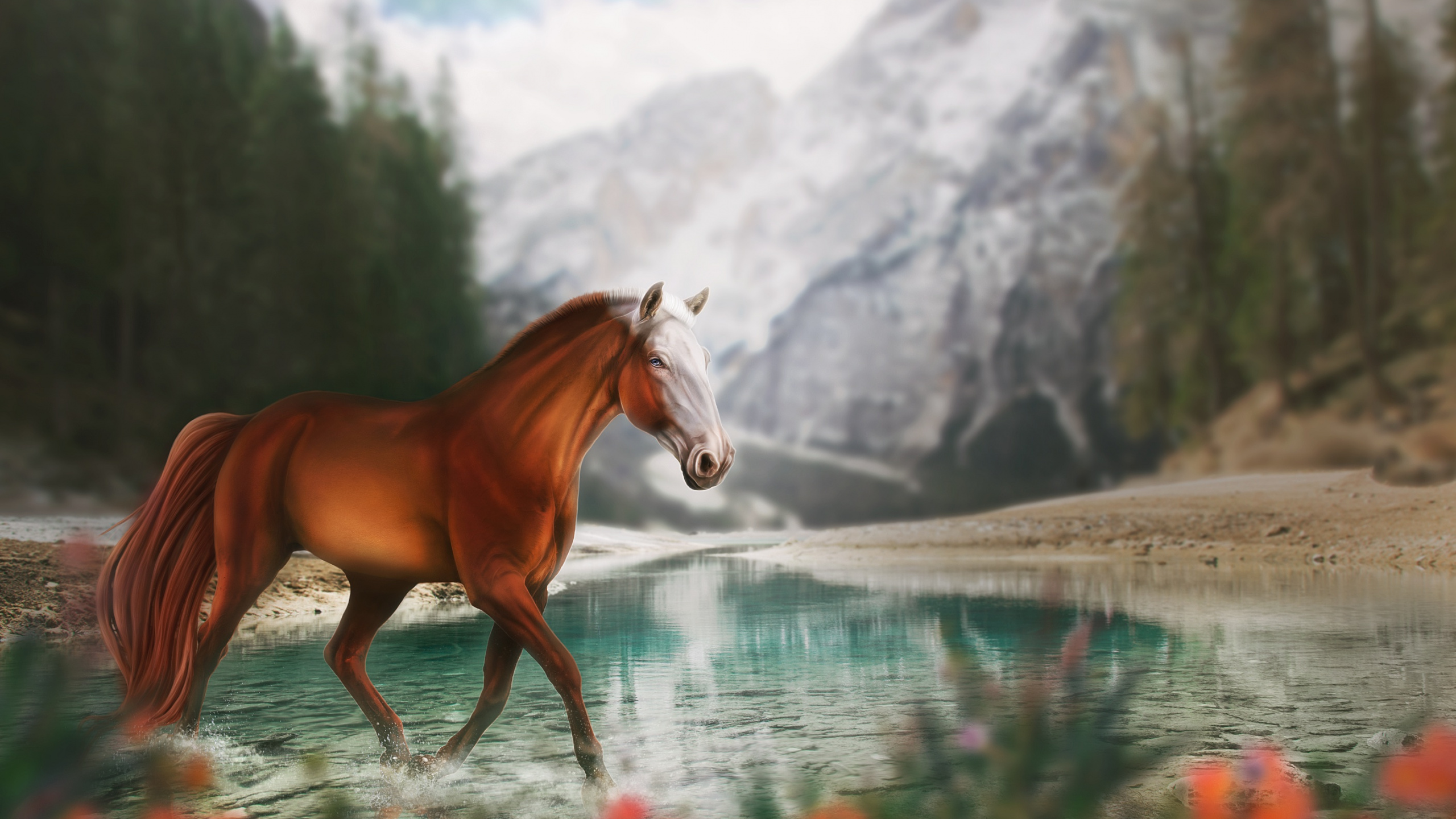 Wasser, Natur, Naturlandschaft, Leber. Wallpaper in 2560x1440 Resolution