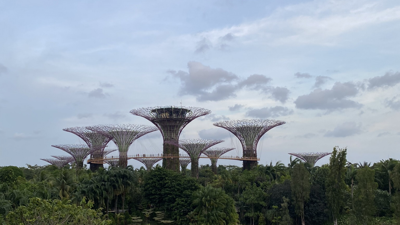 Singapour, Parc de la Ville de Marina, Corps de L'eau, Nature, Végétation. Wallpaper in 1280x720 Resolution