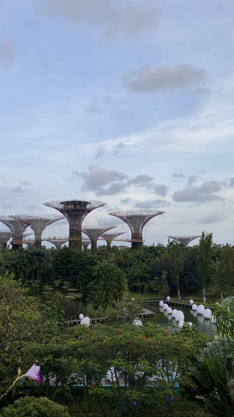 Singapur, Parque de la Ciudad Marina, Cuerpo de Agua, Naturaleza, la Vegetación. Wallpaper in 750x1334 Resolution