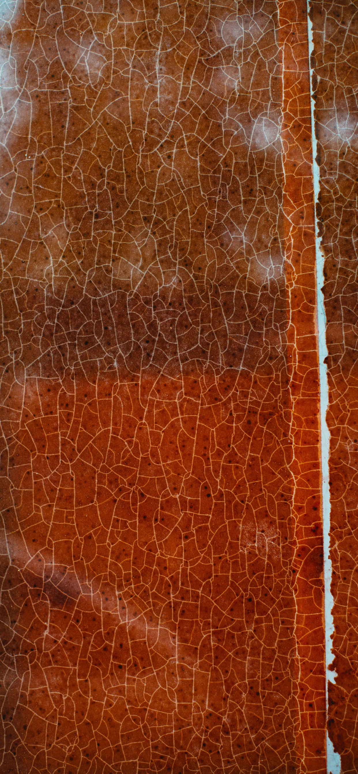 Clôture en Métal Marron et Blanc. Wallpaper in 1242x2688 Resolution