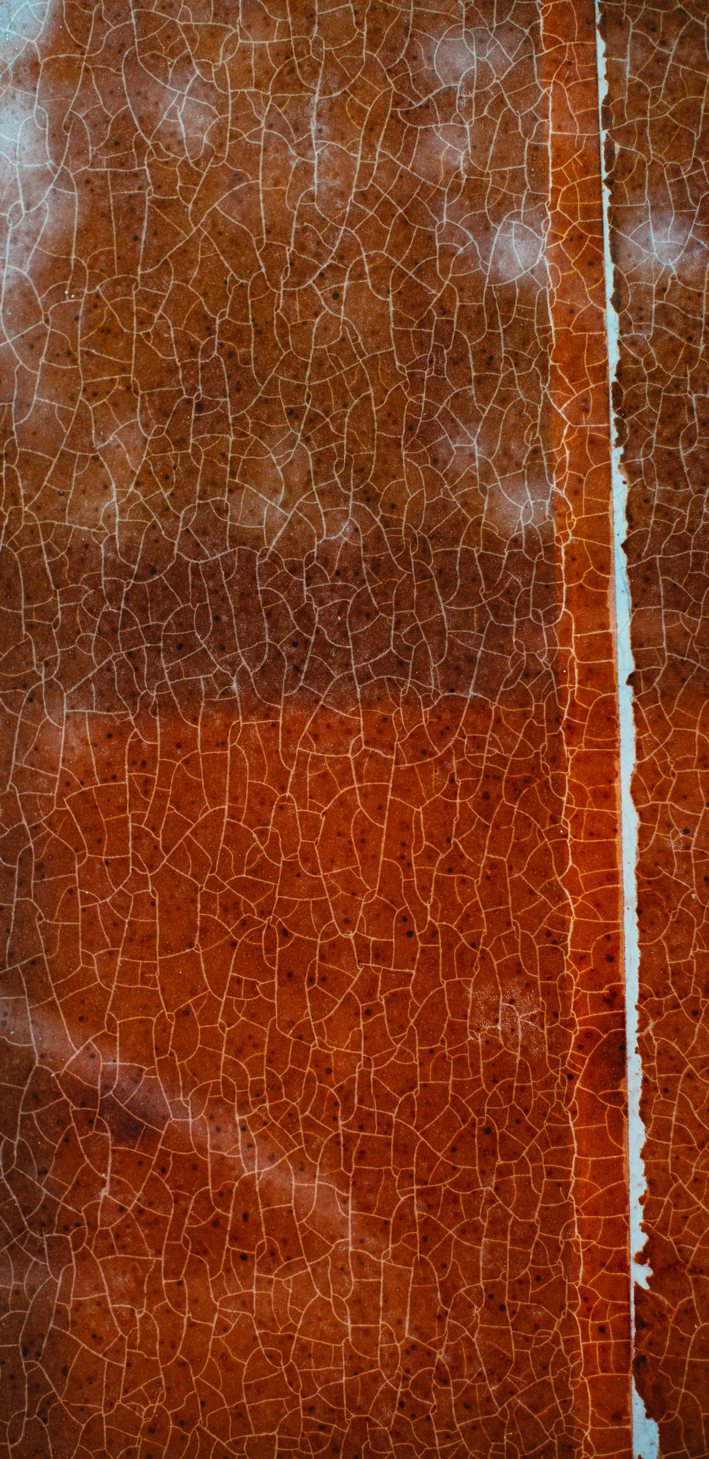 Clôture en Métal Marron et Blanc. Wallpaper in 1440x2960 Resolution