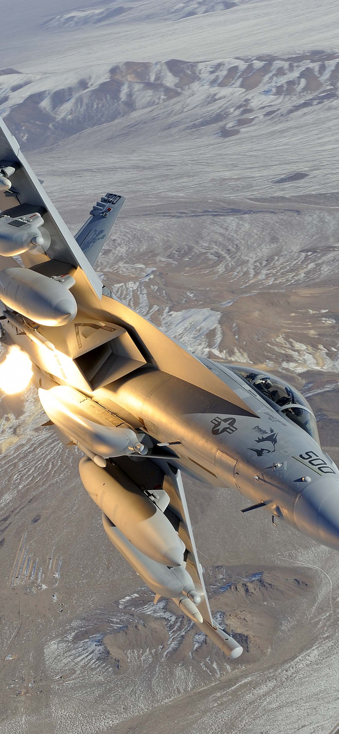 军用飞机, 空军, 喷气式飞机, 航空, 达索阵风 壁纸 1125x2436 允许