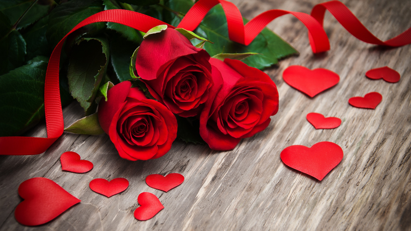 Red Roses With Green Ribbon. Wallpaper in 1366x768 Resolution