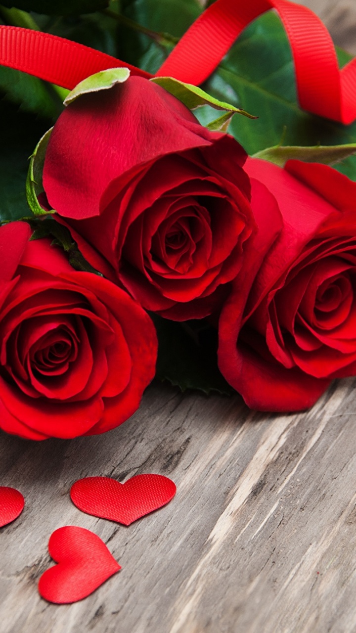 Red Roses With Green Ribbon. Wallpaper in 720x1280 Resolution