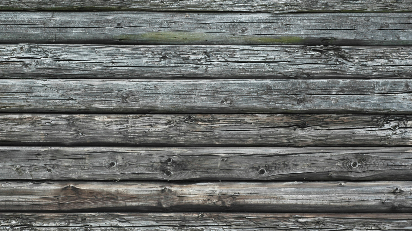 Superficie de Madera Verde y Marrón. Wallpaper in 1366x768 Resolution