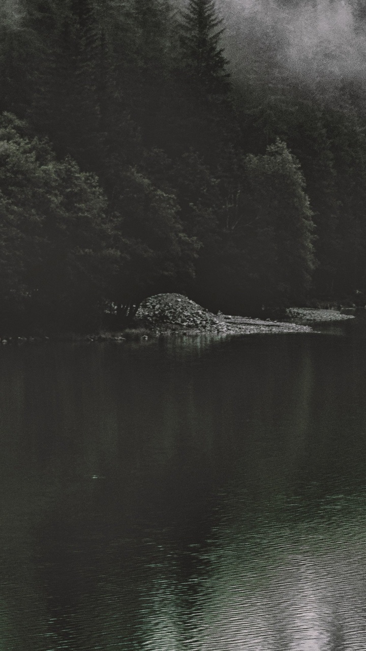 Green Trees Beside Body of Water During Daytime. Wallpaper in 720x1280 Resolution