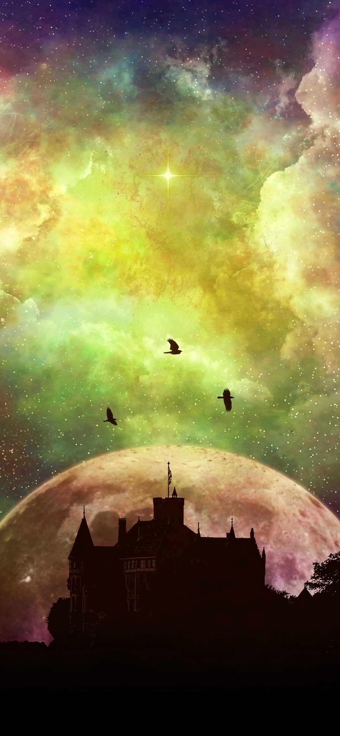 Illustration de la Galaxie Verte et Noire. Wallpaper in 1125x2436 Resolution