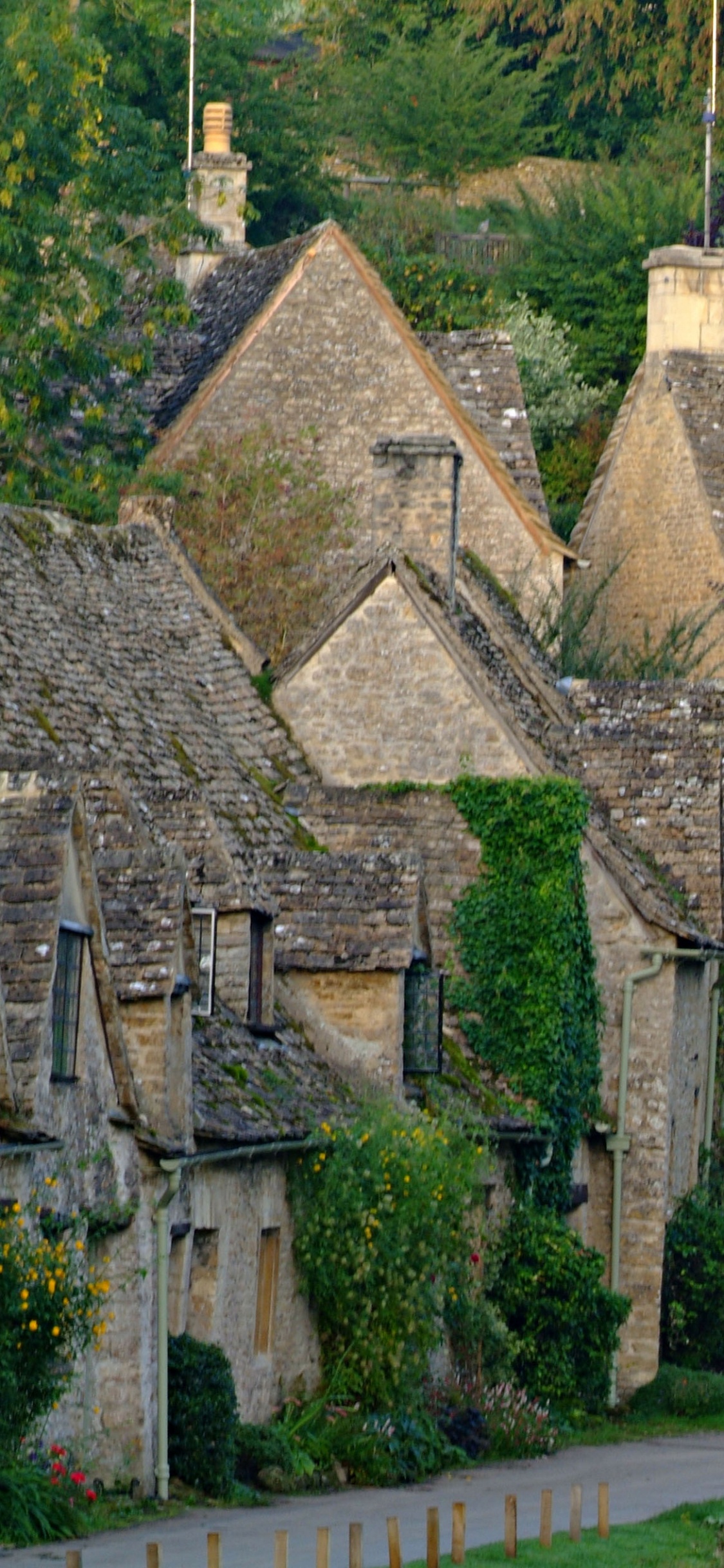 Braunes Und Graues Betonhaus, Tagsüber Von Grünen Bäumen Umgeben. Wallpaper in 1125x2436 Resolution