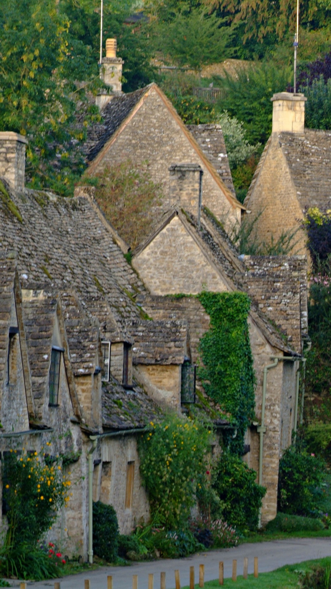 Maison en Béton Marron et Gris Entourée D'arbres Verts Pendant la Journée. Wallpaper in 1080x1920 Resolution