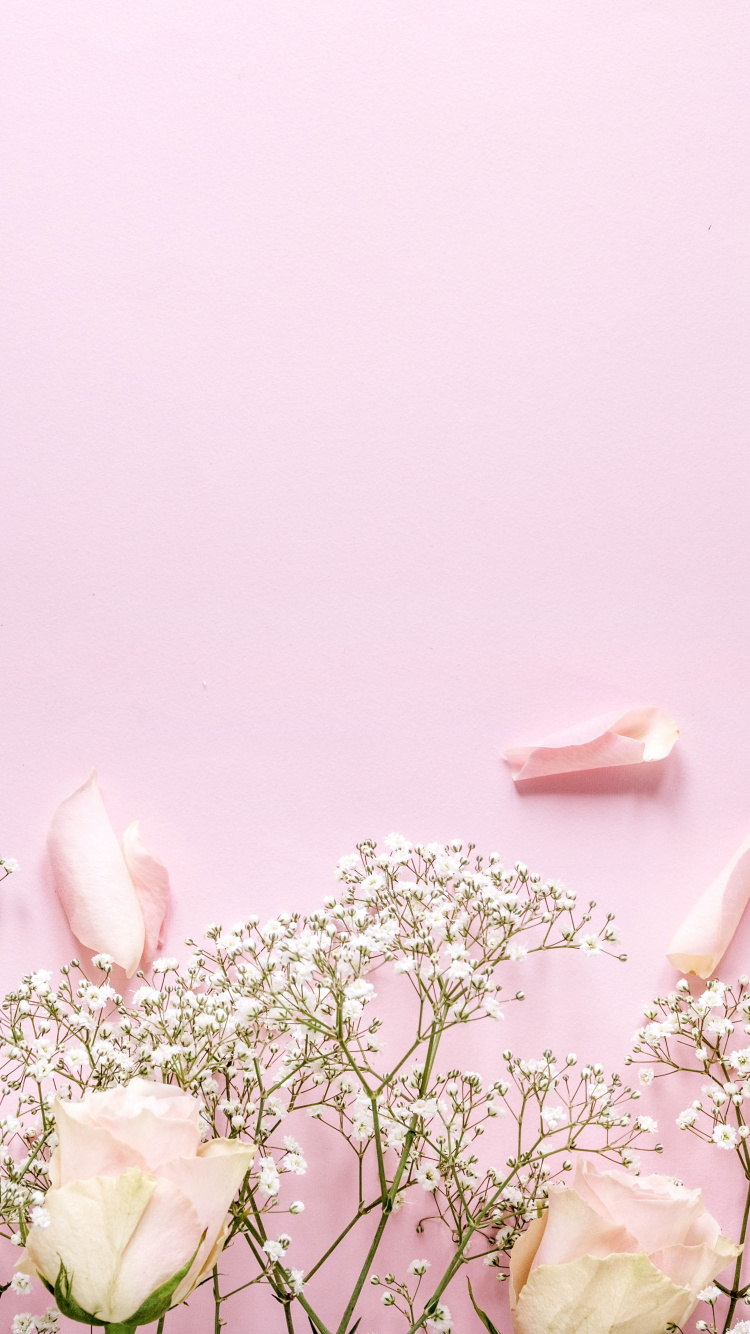 Fleurs Blanches et Roses Avec Des Feuilles Vertes. Wallpaper in 750x1334 Resolution