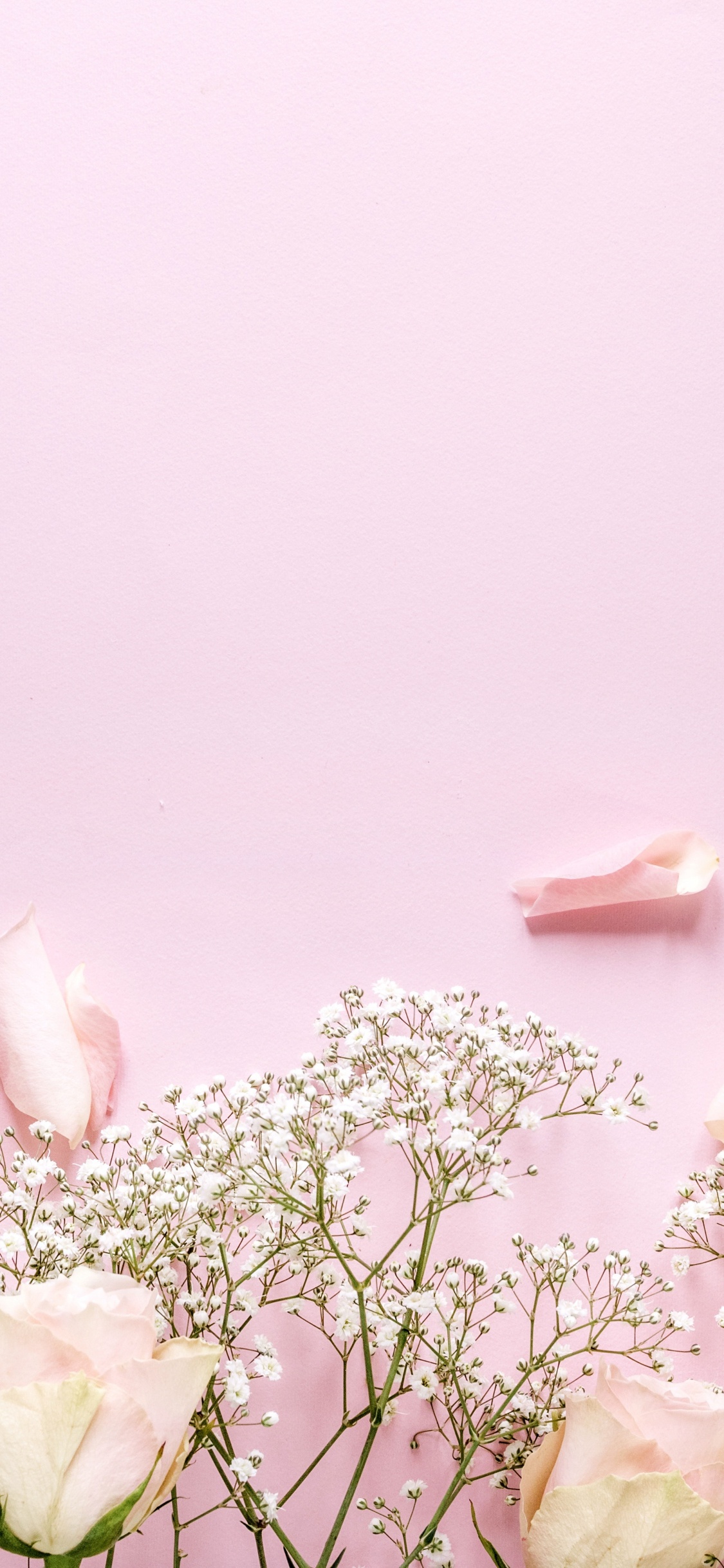 Flores Blancas y Rosadas Con Hojas Verdes. Wallpaper in 1125x2436 Resolution